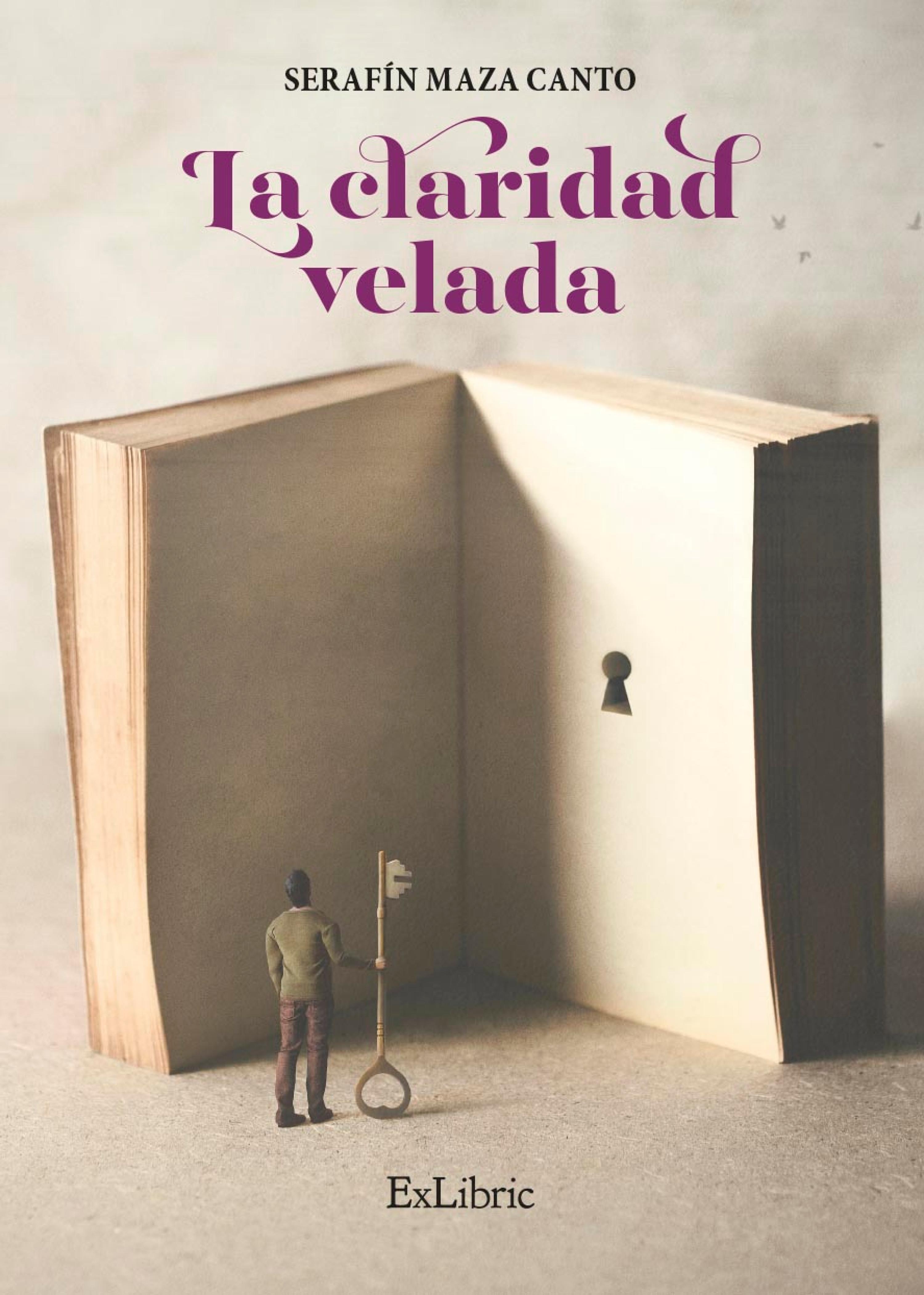 Обложка книги «La claridad velada»