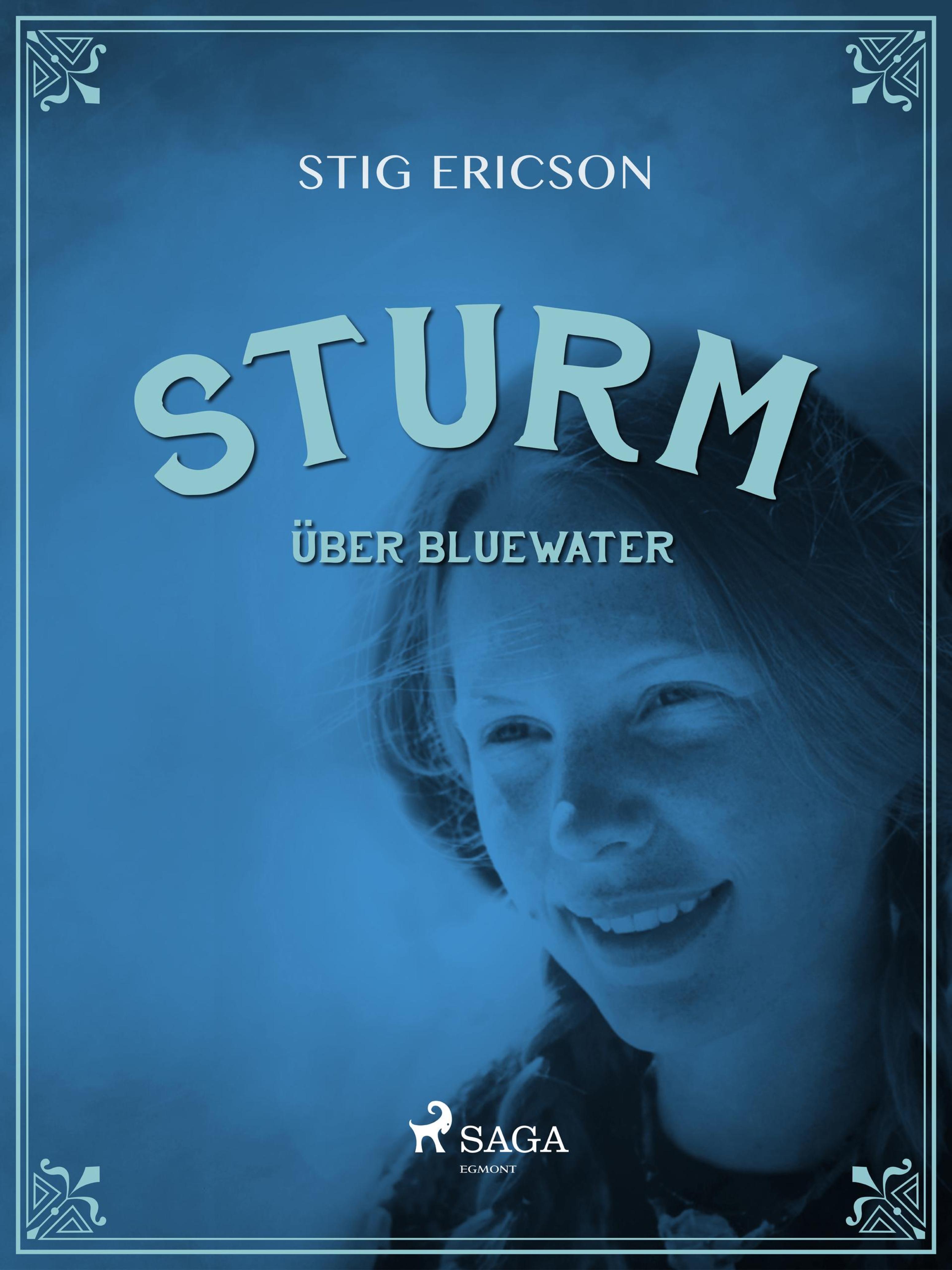 Обложка книги «Sturm über Bluewater»