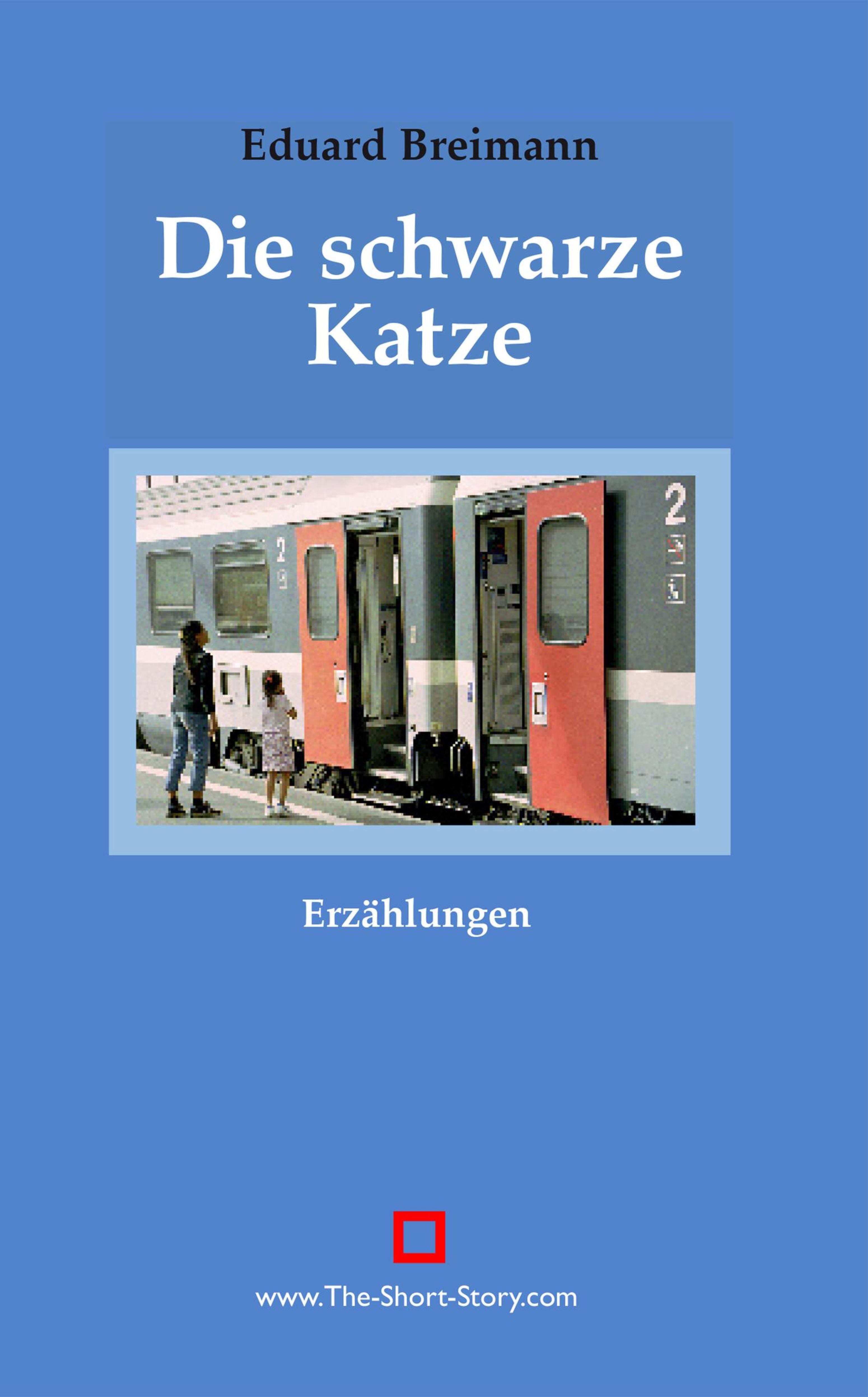 Обложка книги «Die schwarze Katze»