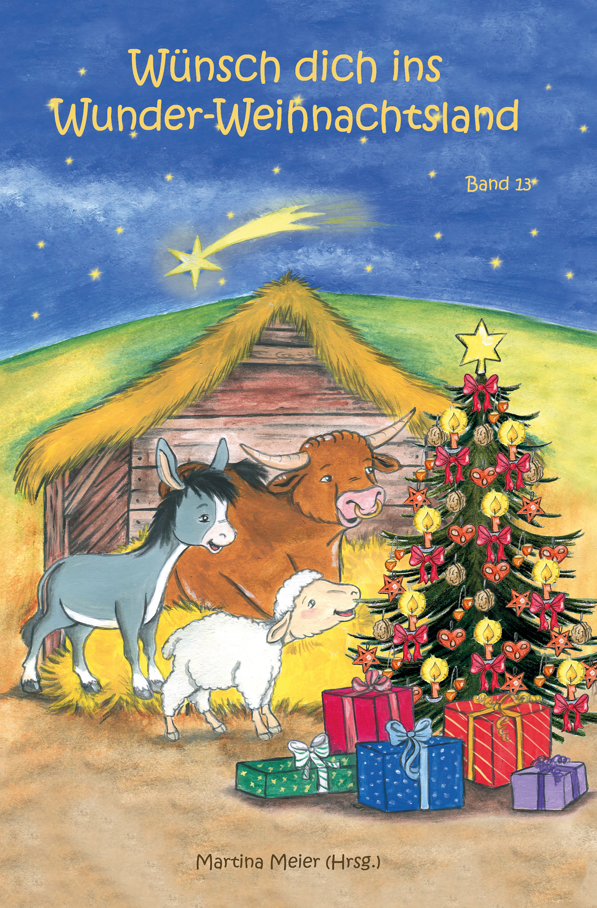 Обложка книги «Wünsch dich ins Wunder-Weihnachtsland Band 13»