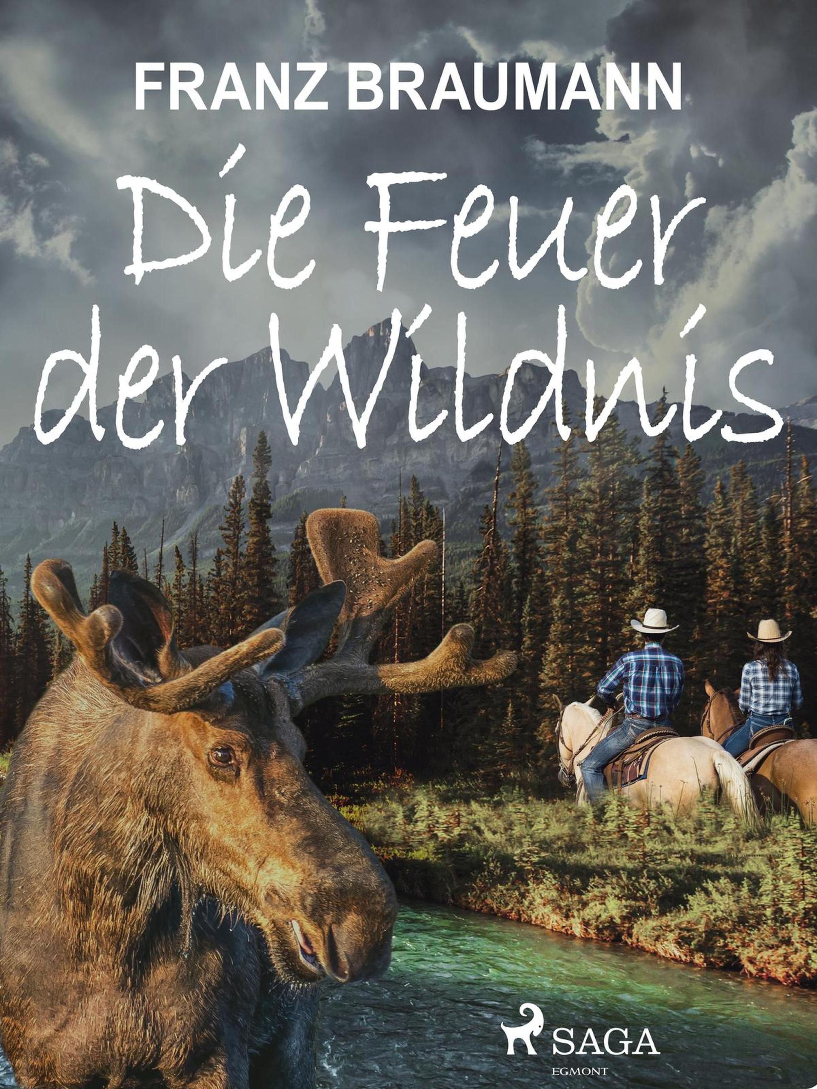 Обложка книги «Die Feuer der Wildnis»