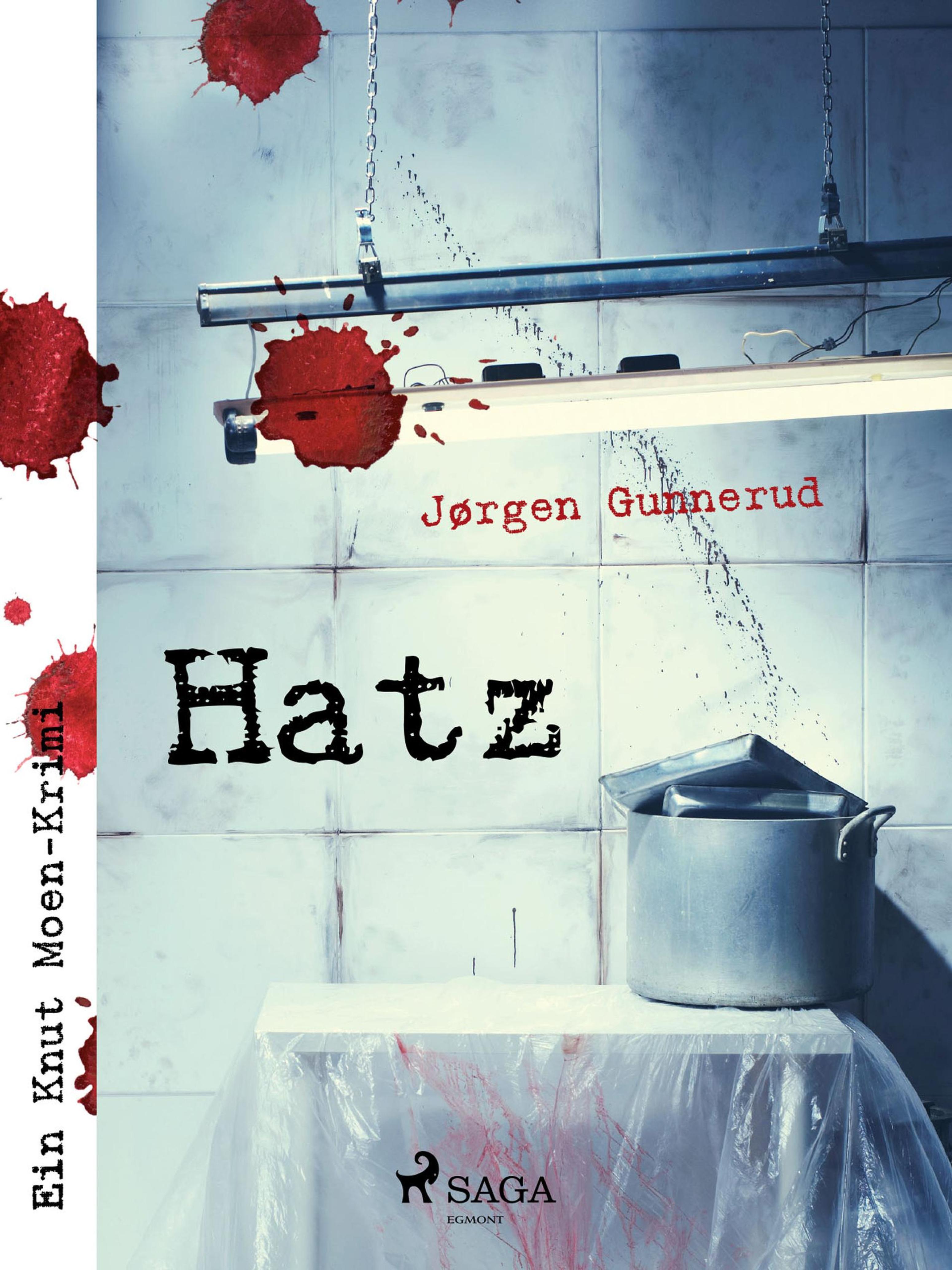Обложка книги «Hatz»