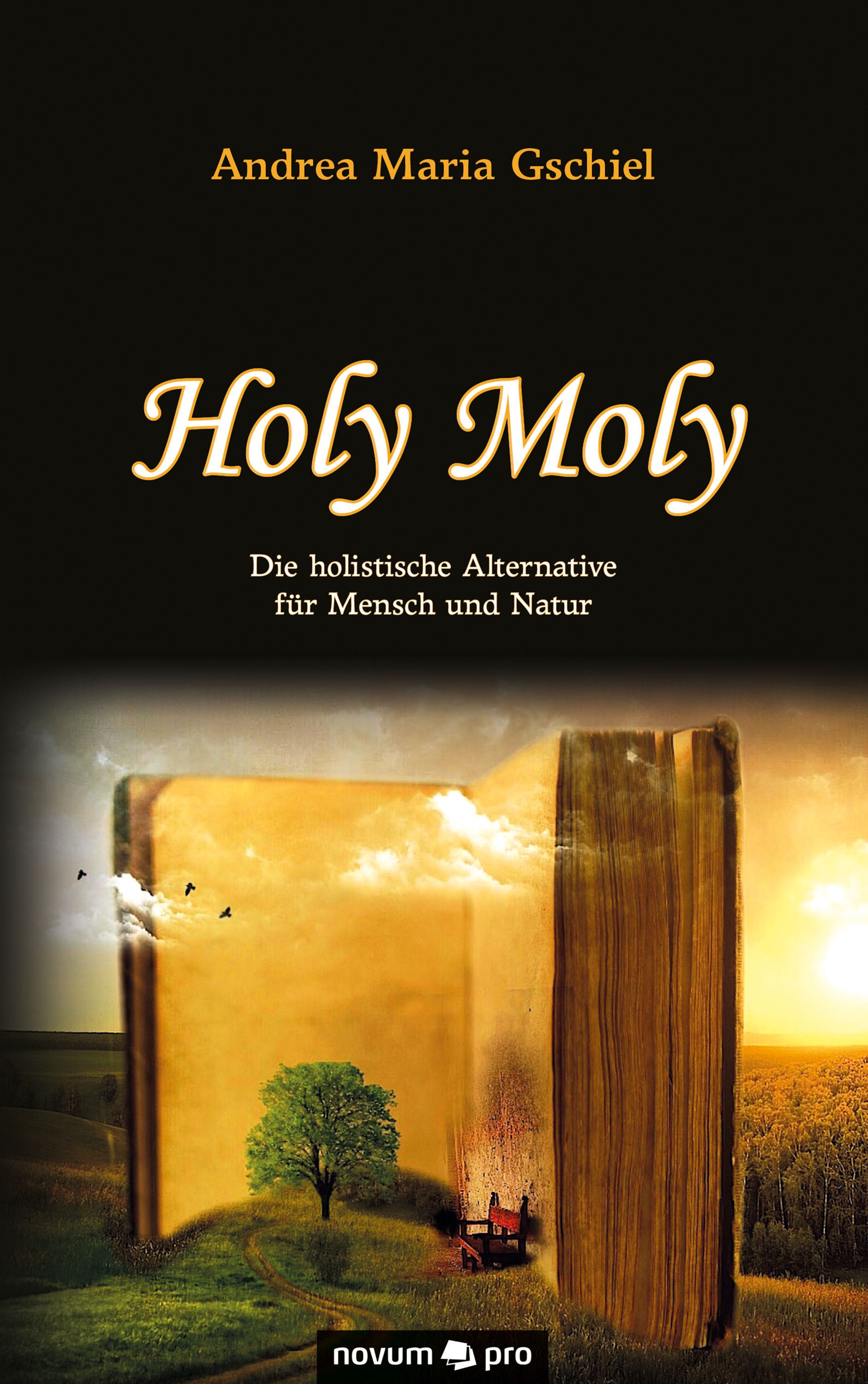Обложка книги «Holy Moly»