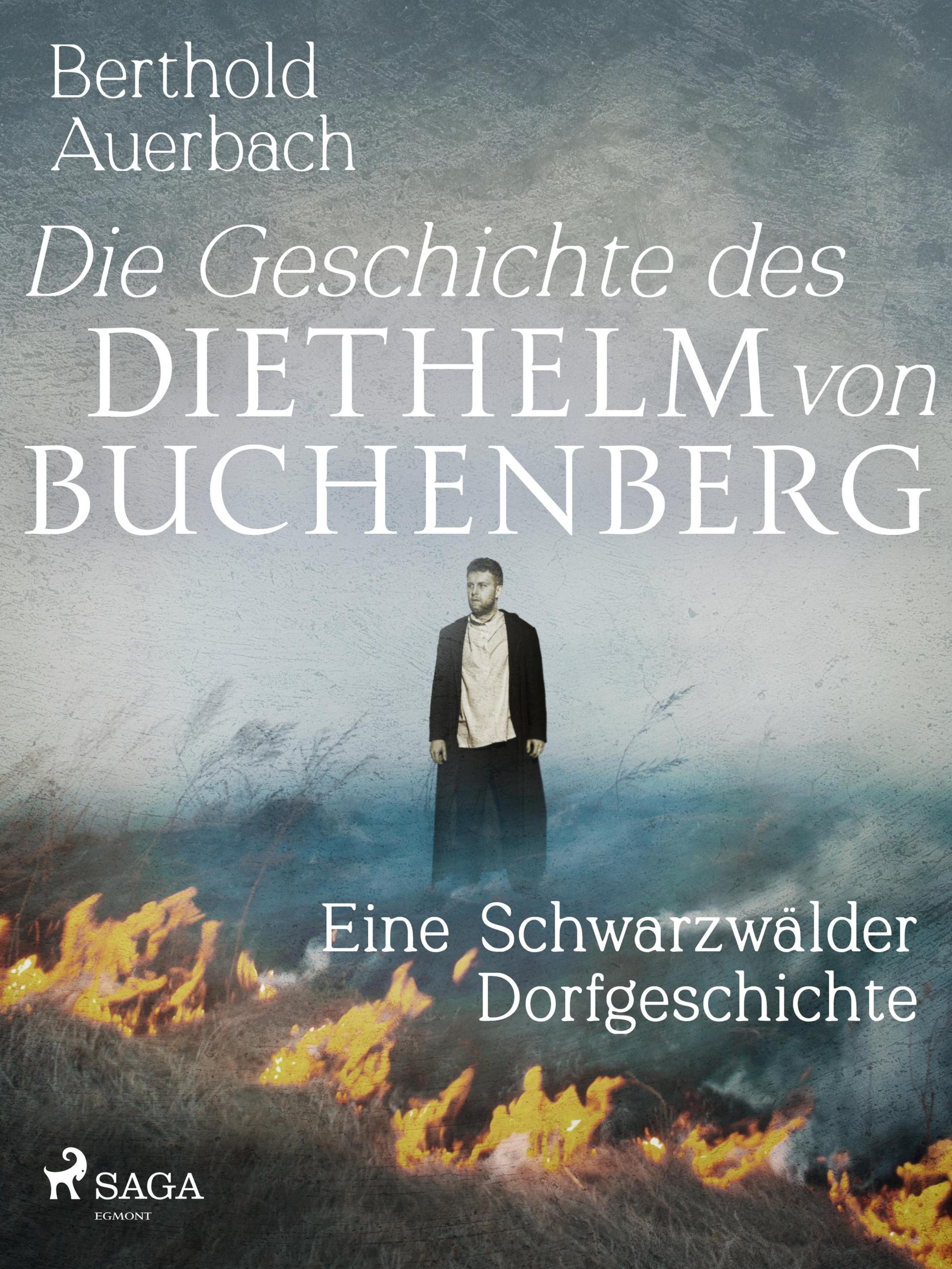 Обложка книги «Die Geschichte des Diethelm von Buchenberg. Eine Schwarzwälder Dorfgeschichte»