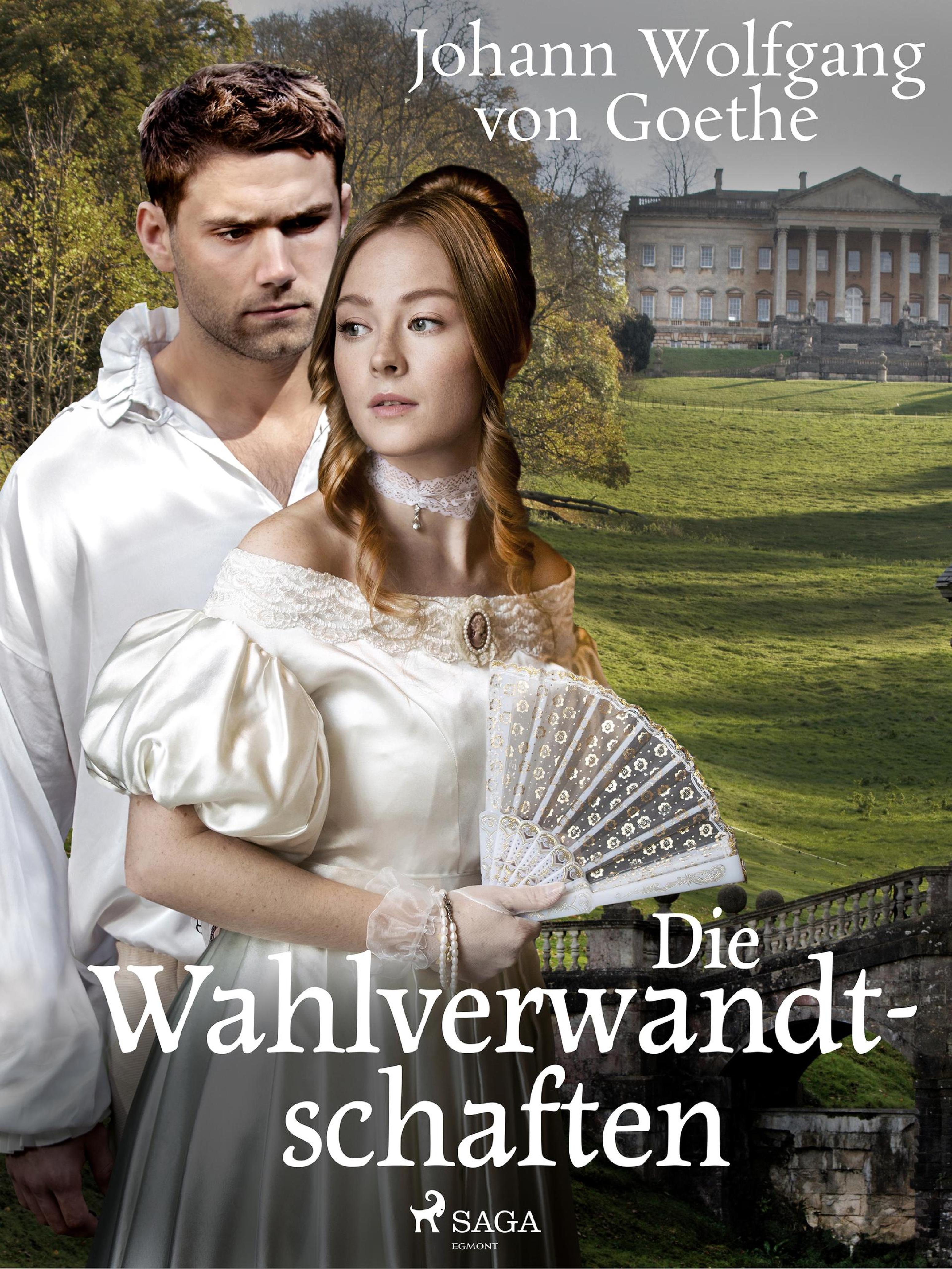 Обложка книги «Die Wahlverwandtschaften»