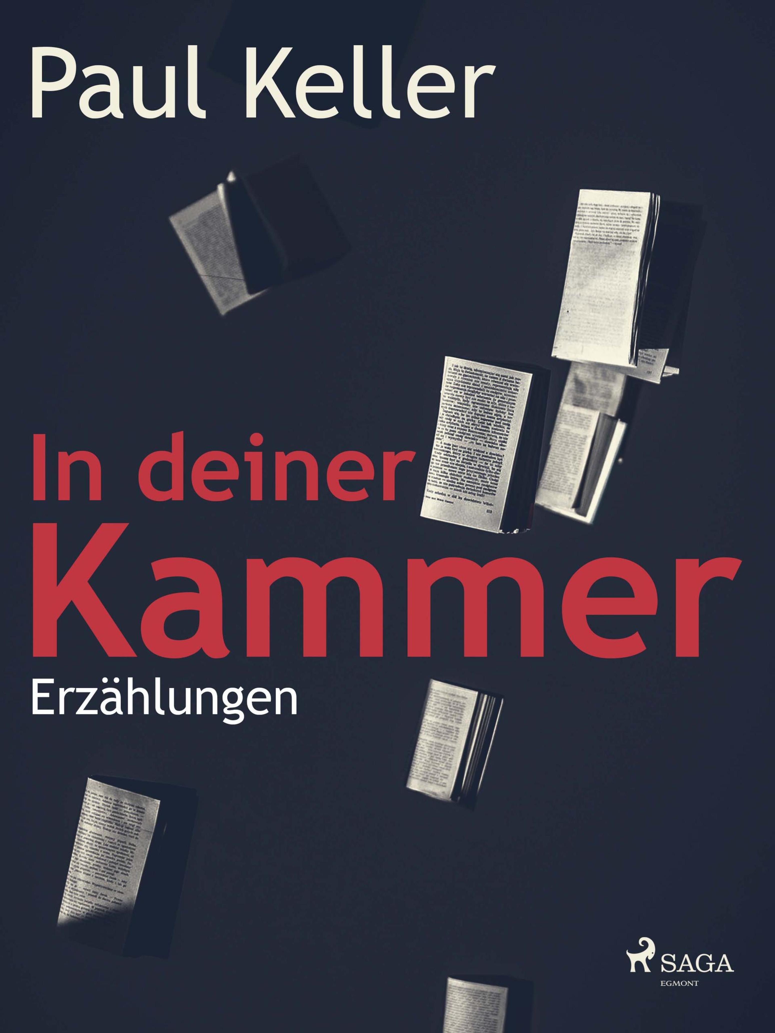 Обложка книги «In deiner Kammer»