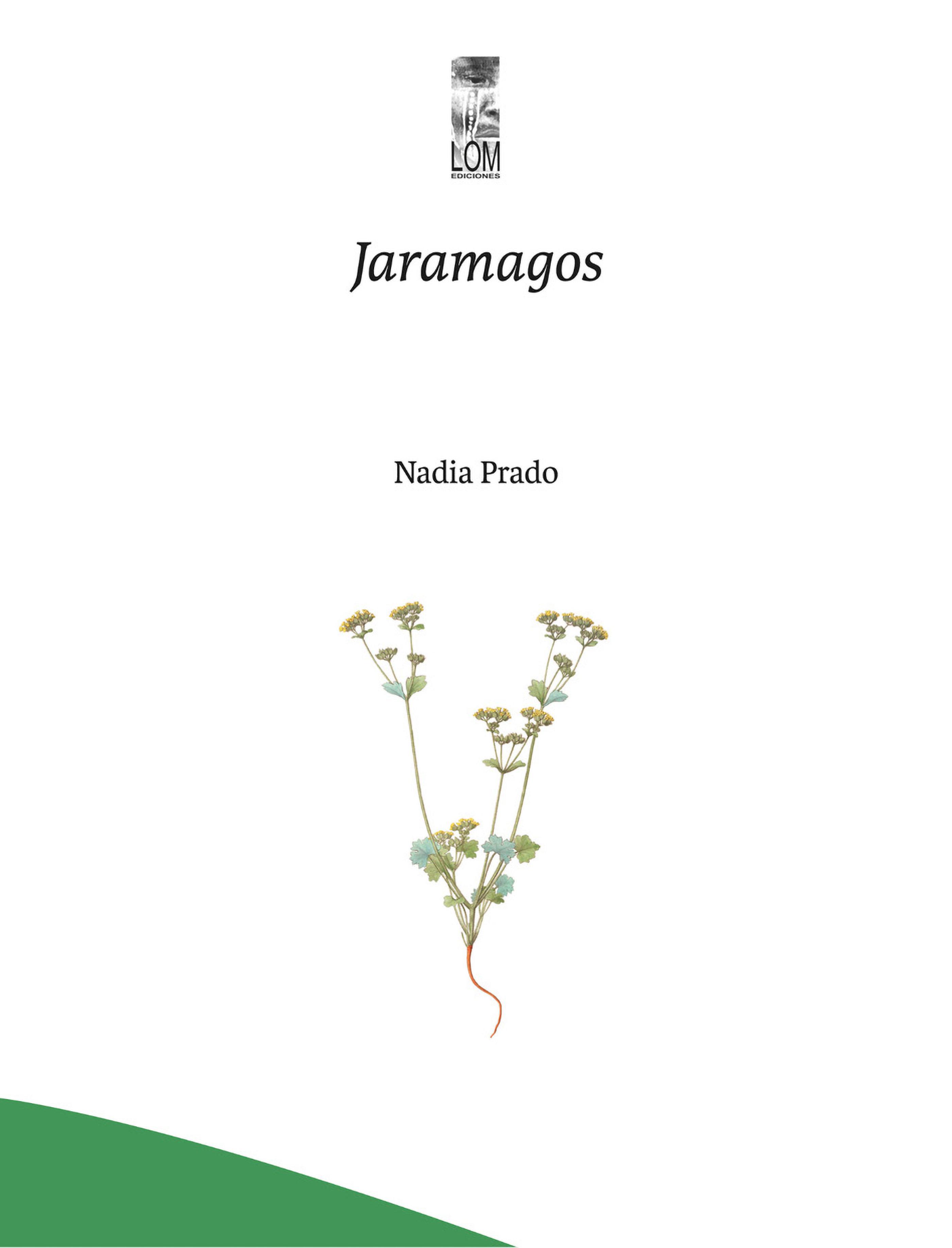 Обложка книги «Jaramagos»