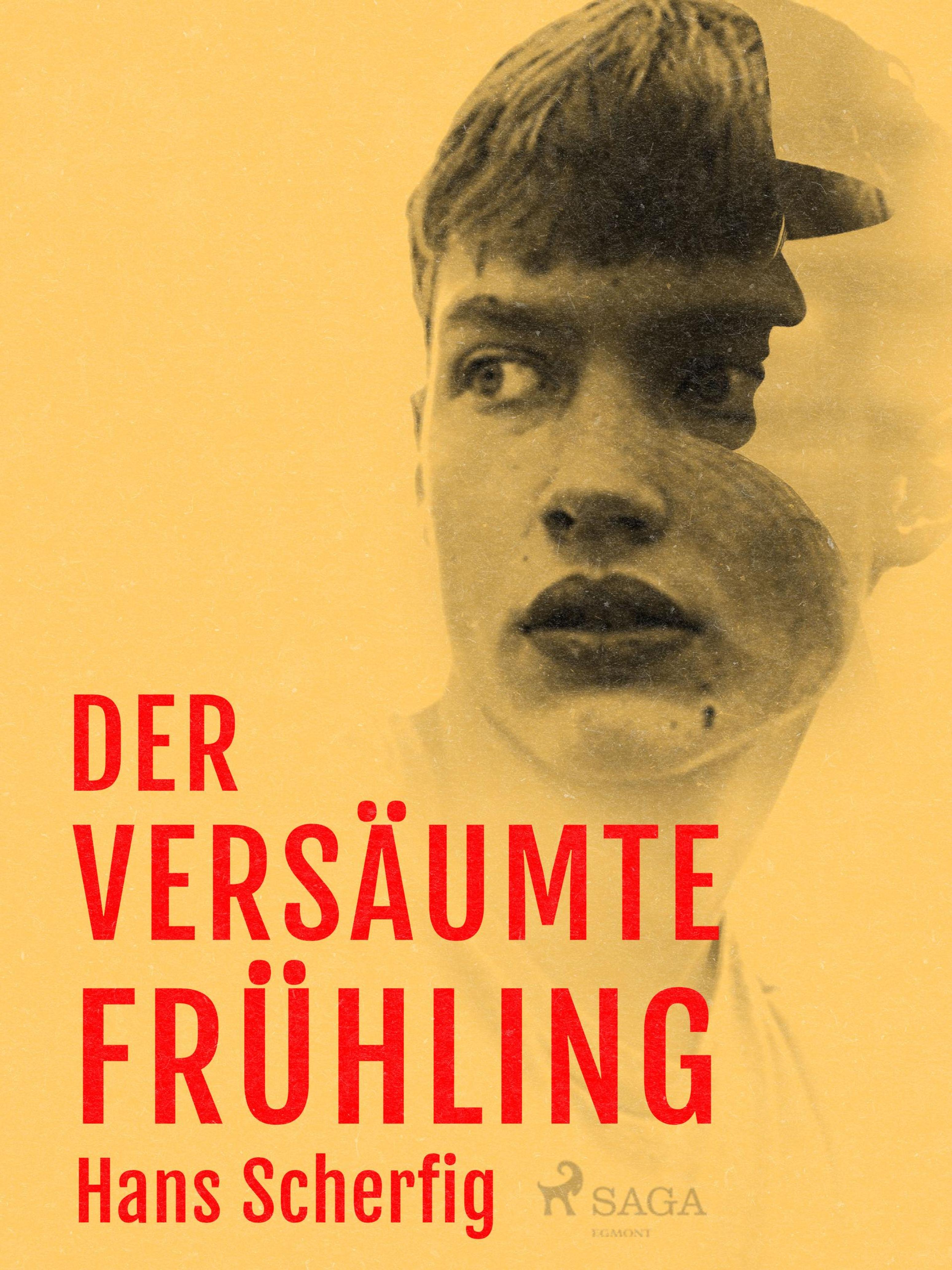 Обложка книги «Der versäumte Frühling»