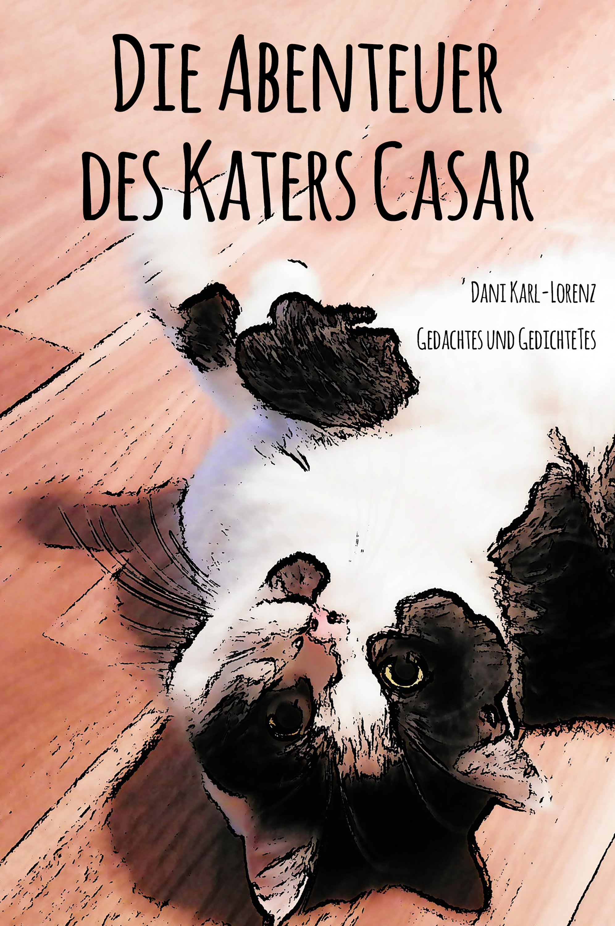 Обложка книги «Die Abenteuer des Katers Casar»