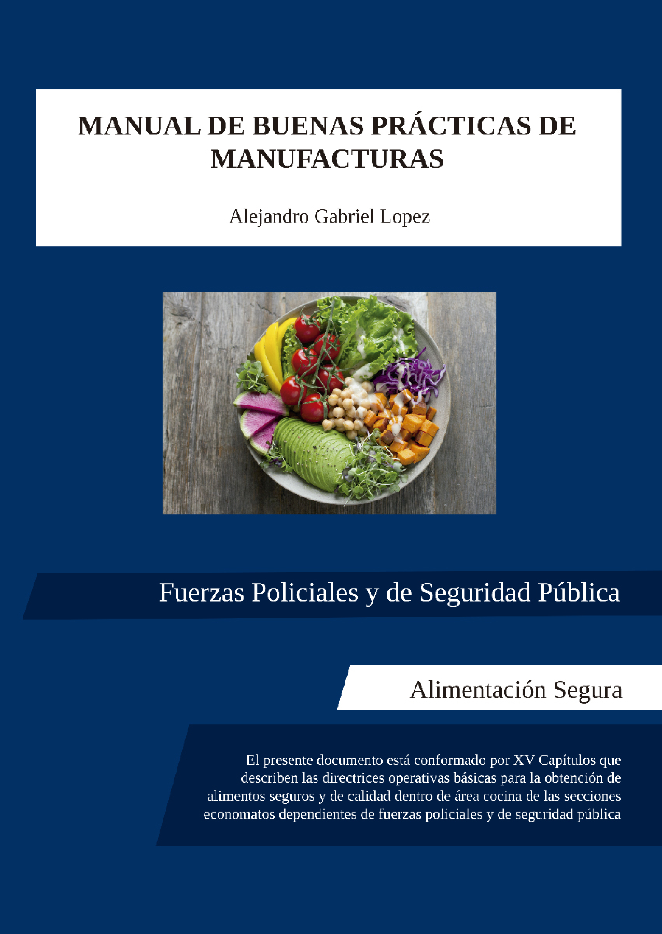 Обложка книги «Manual de buenas prácticas de manufacturas»