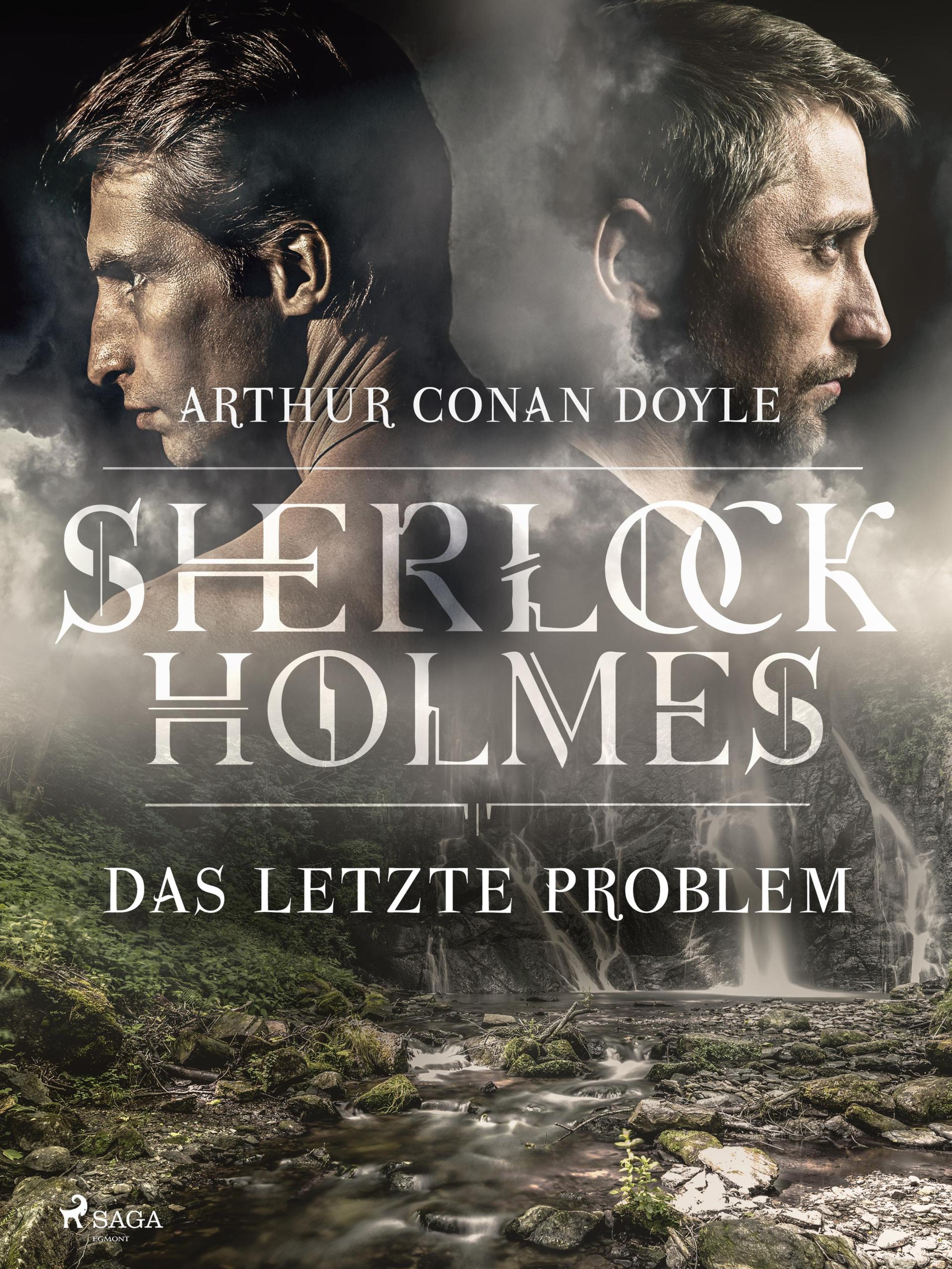 Обложка книги «Das letzte Problem»