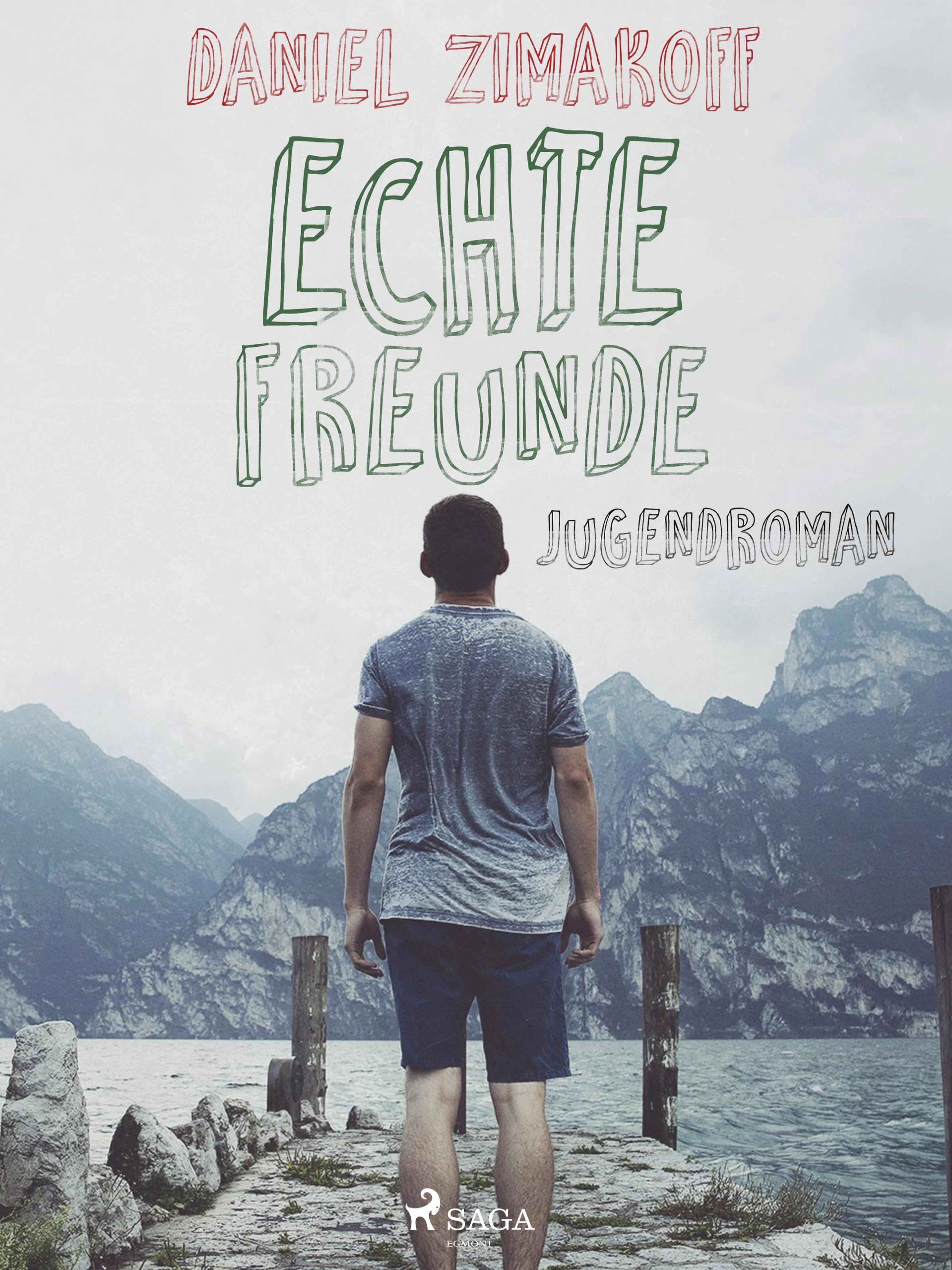 Обложка книги «Echte Freunde»