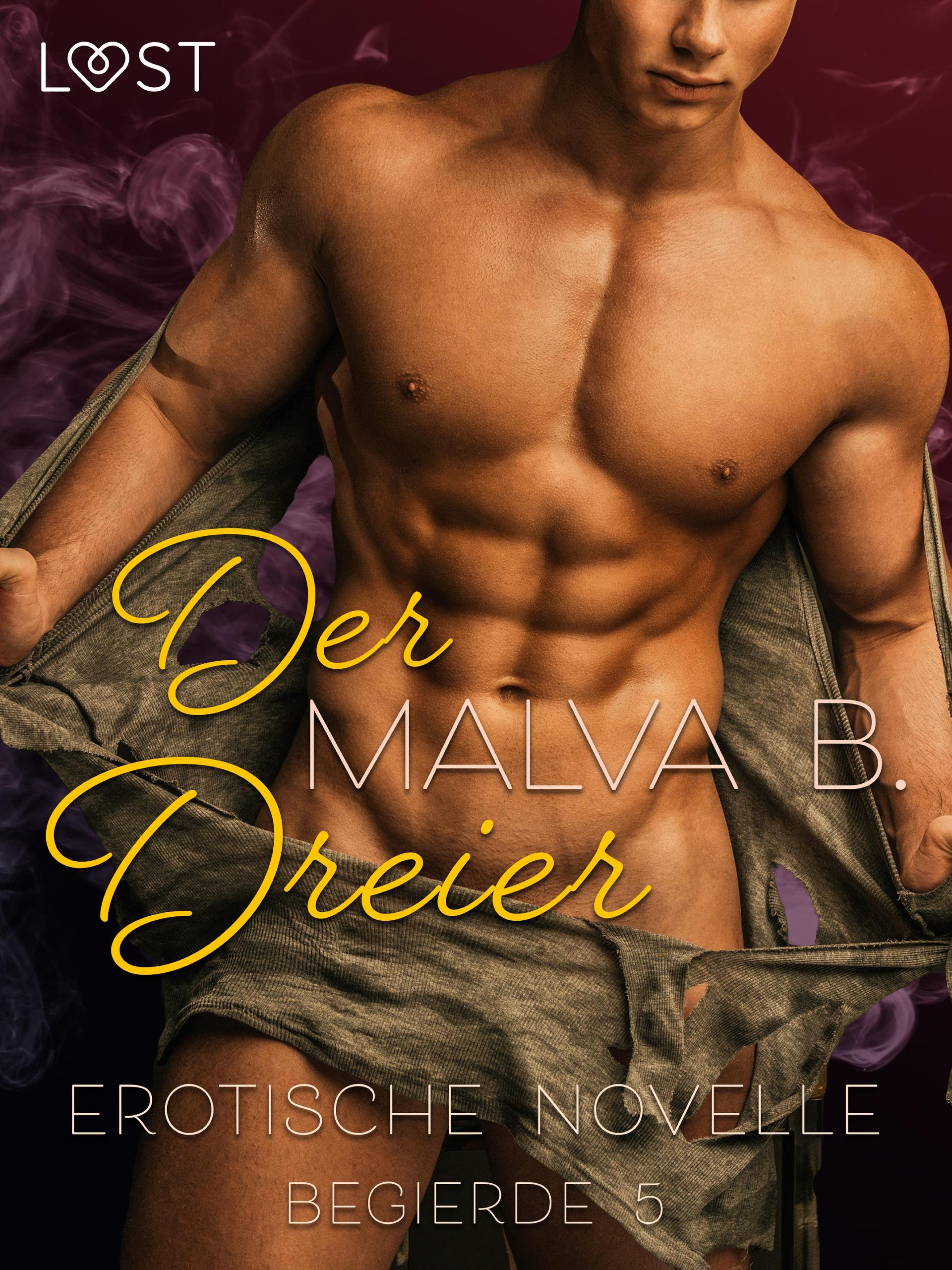 Обложка книги «Begierde 5 - Der Dreier: Erotische Novelle»