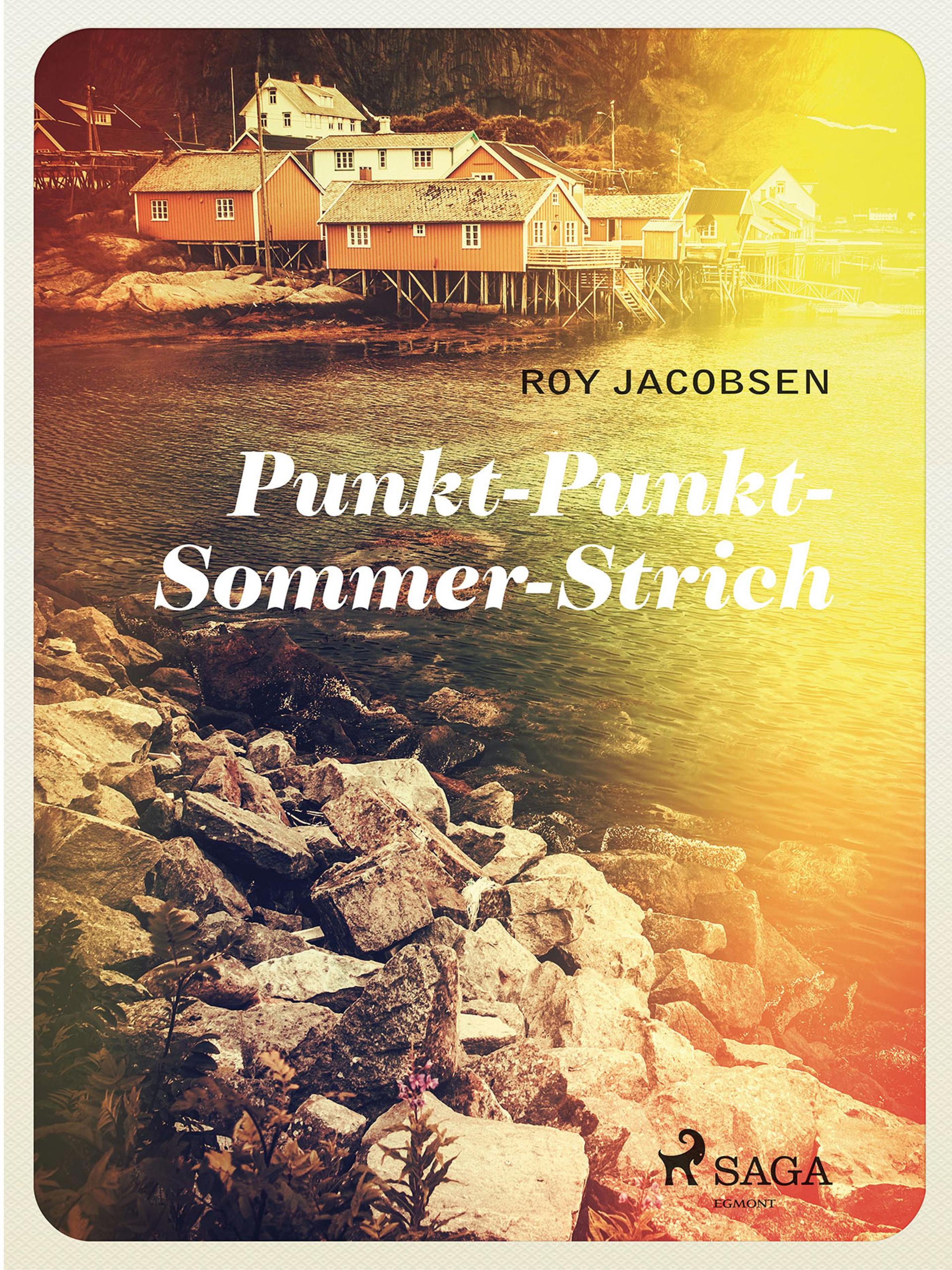Обложка книги «Punkt - Punkt - Sommer - Strich»