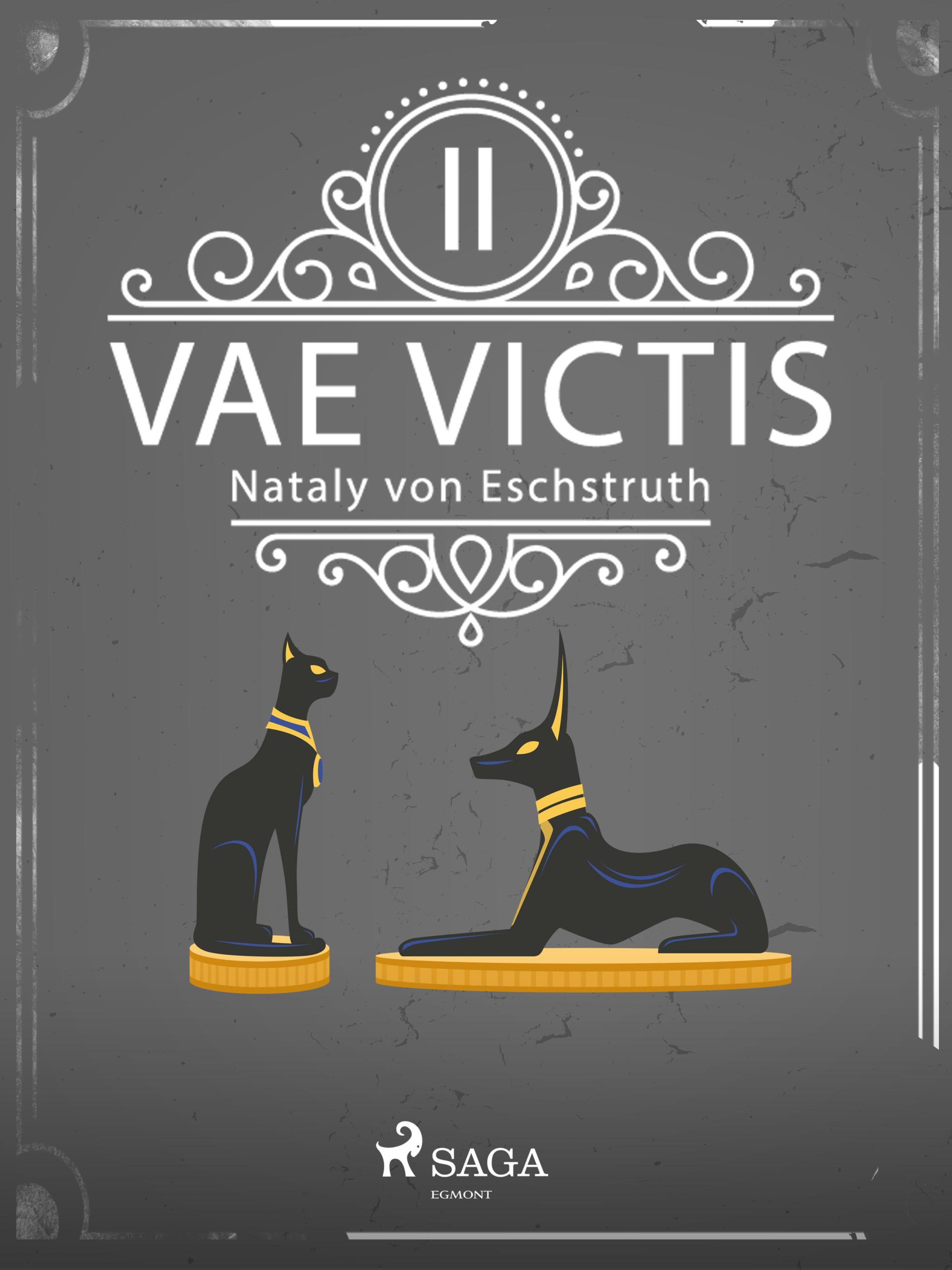Обложка книги «Vae Victis - Band II»