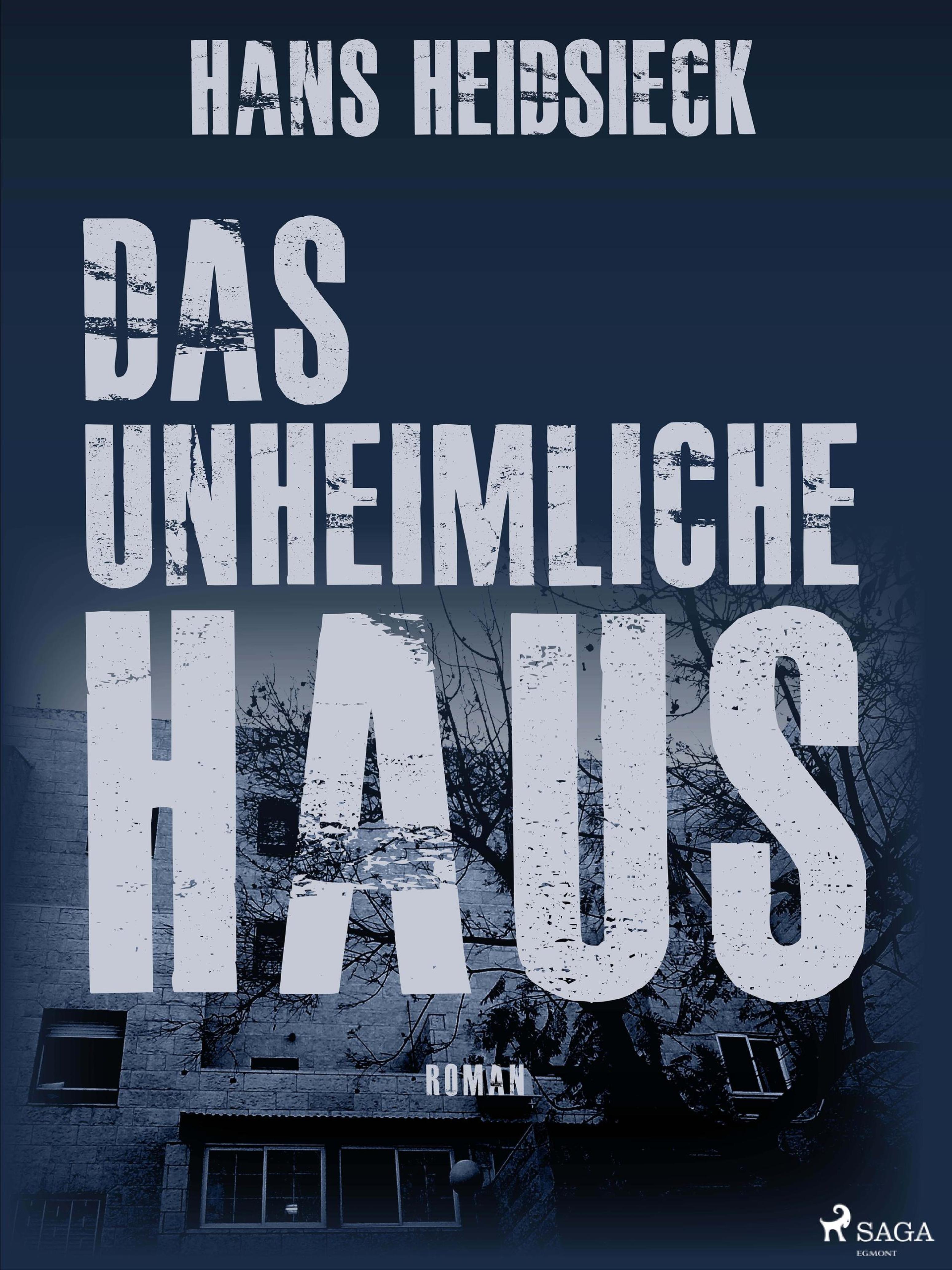 Обложка книги «Das unheimliche Haus»