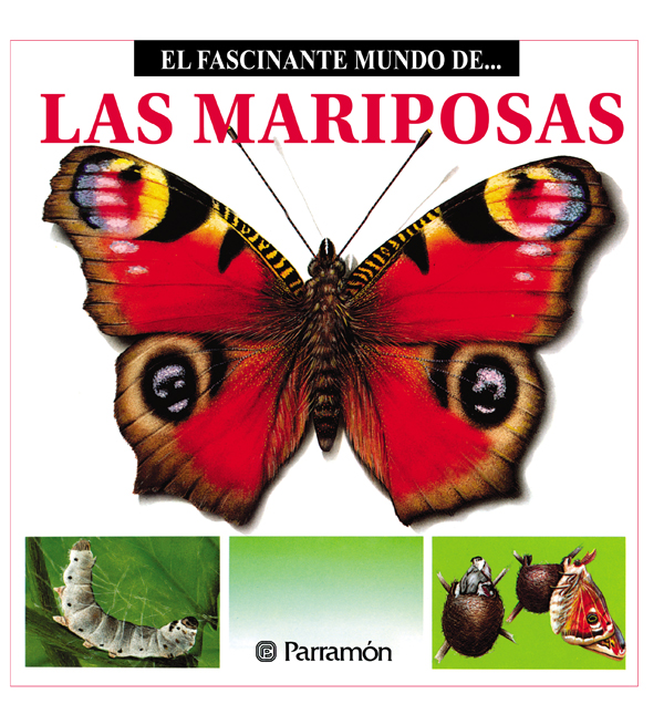 Обложка книги «Las Mariposas»