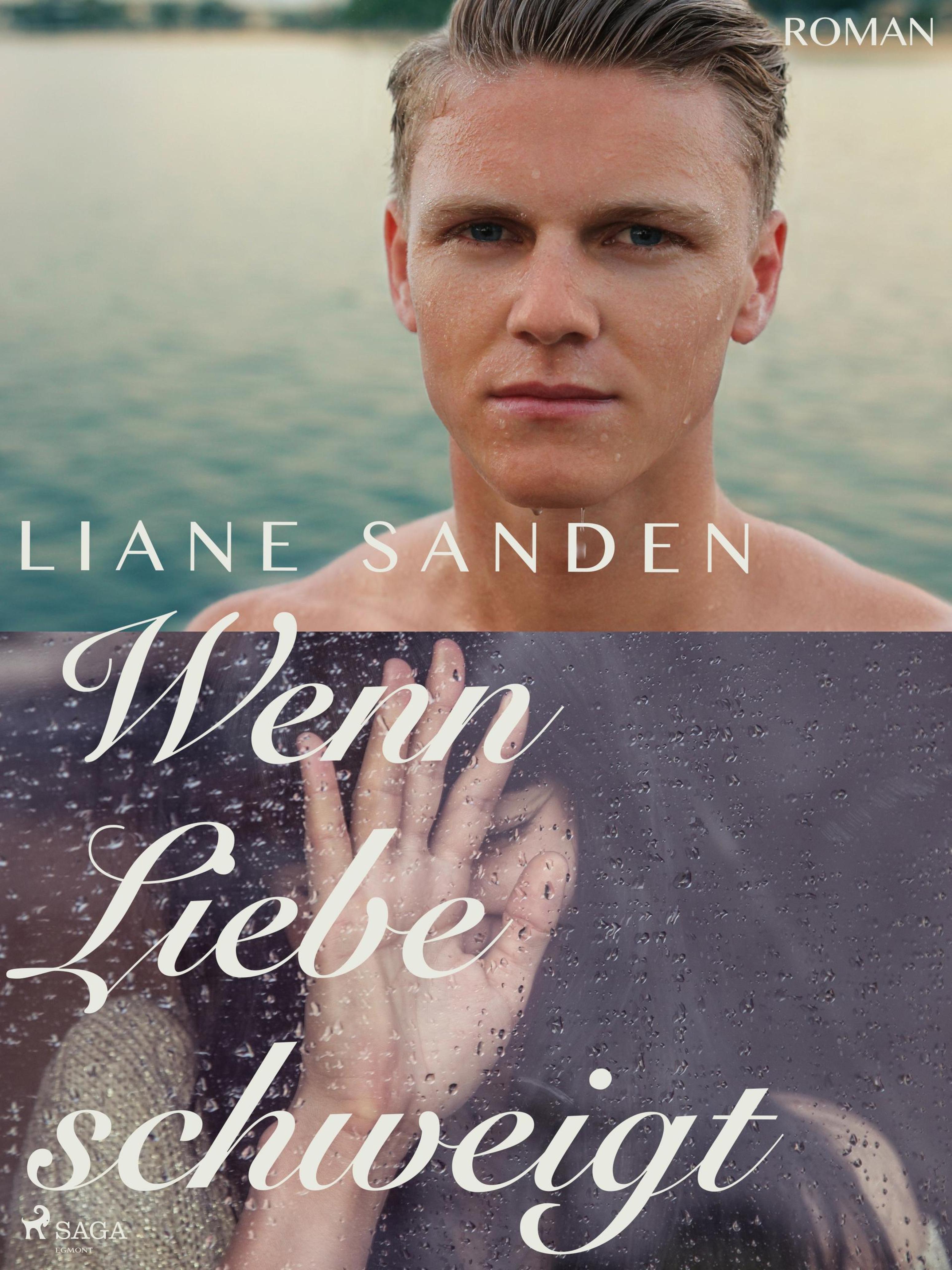 Обложка книги «Wenn Liebe schweigt»