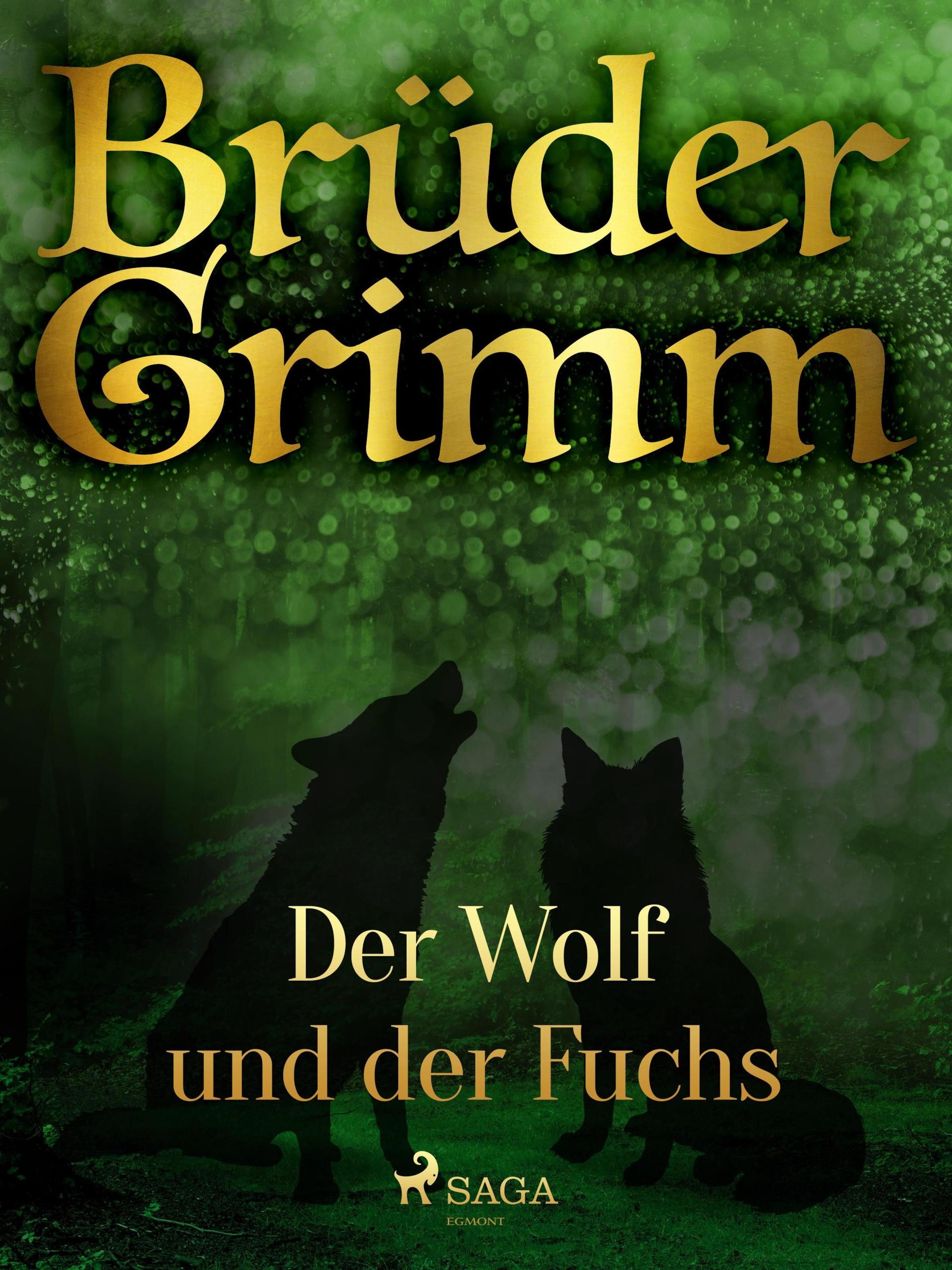 Обложка книги «Der Wolf und der Fuchs»