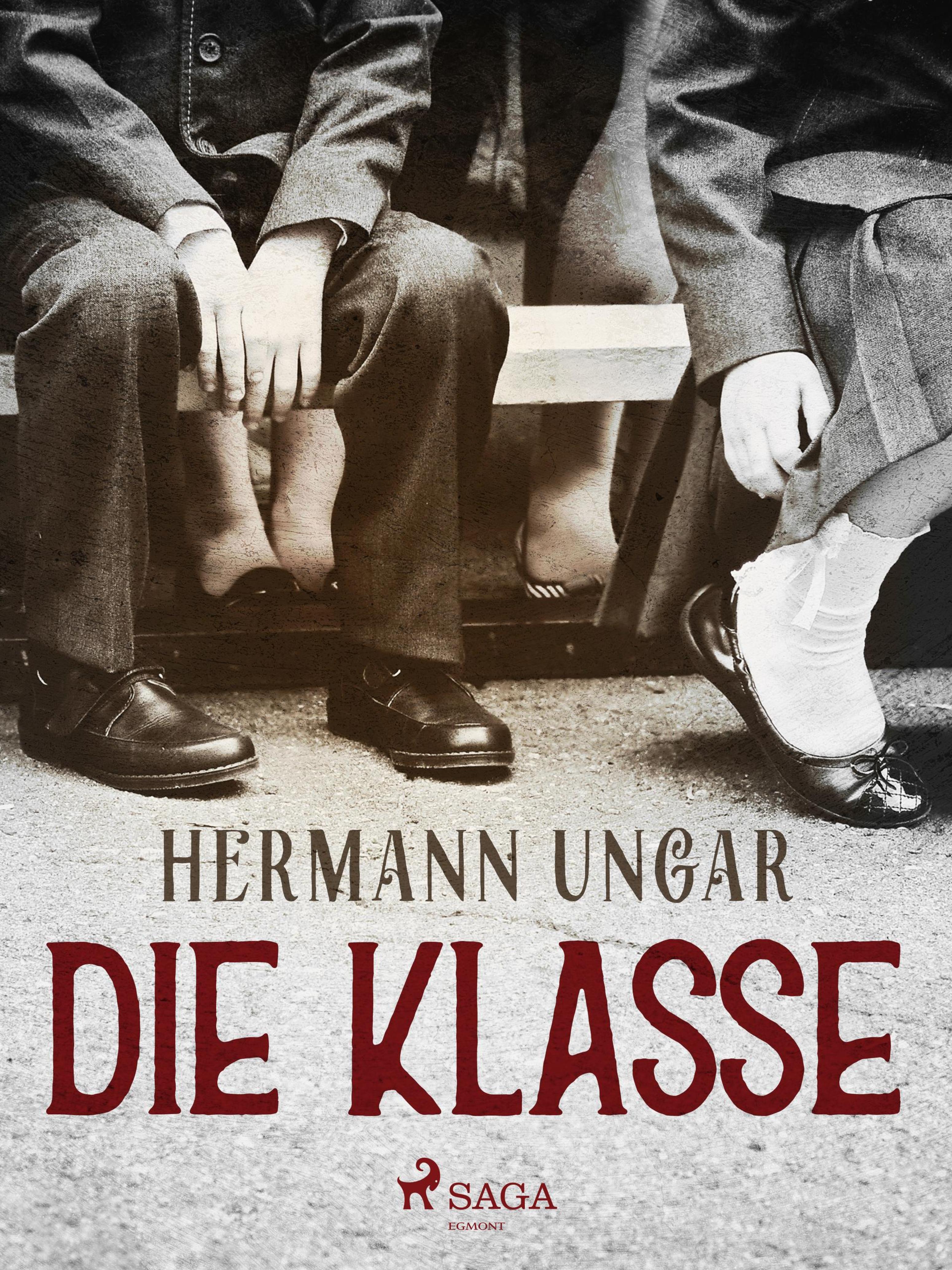 Обложка книги «Die Klasse»