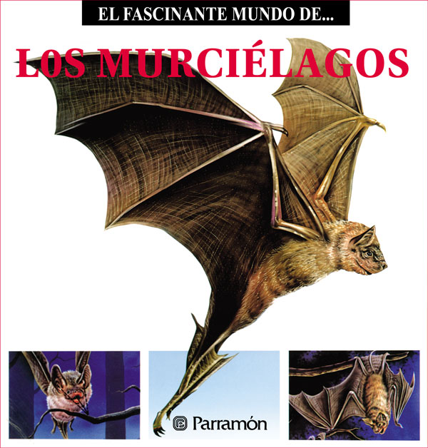 Обложка книги «Los Murciélagos»