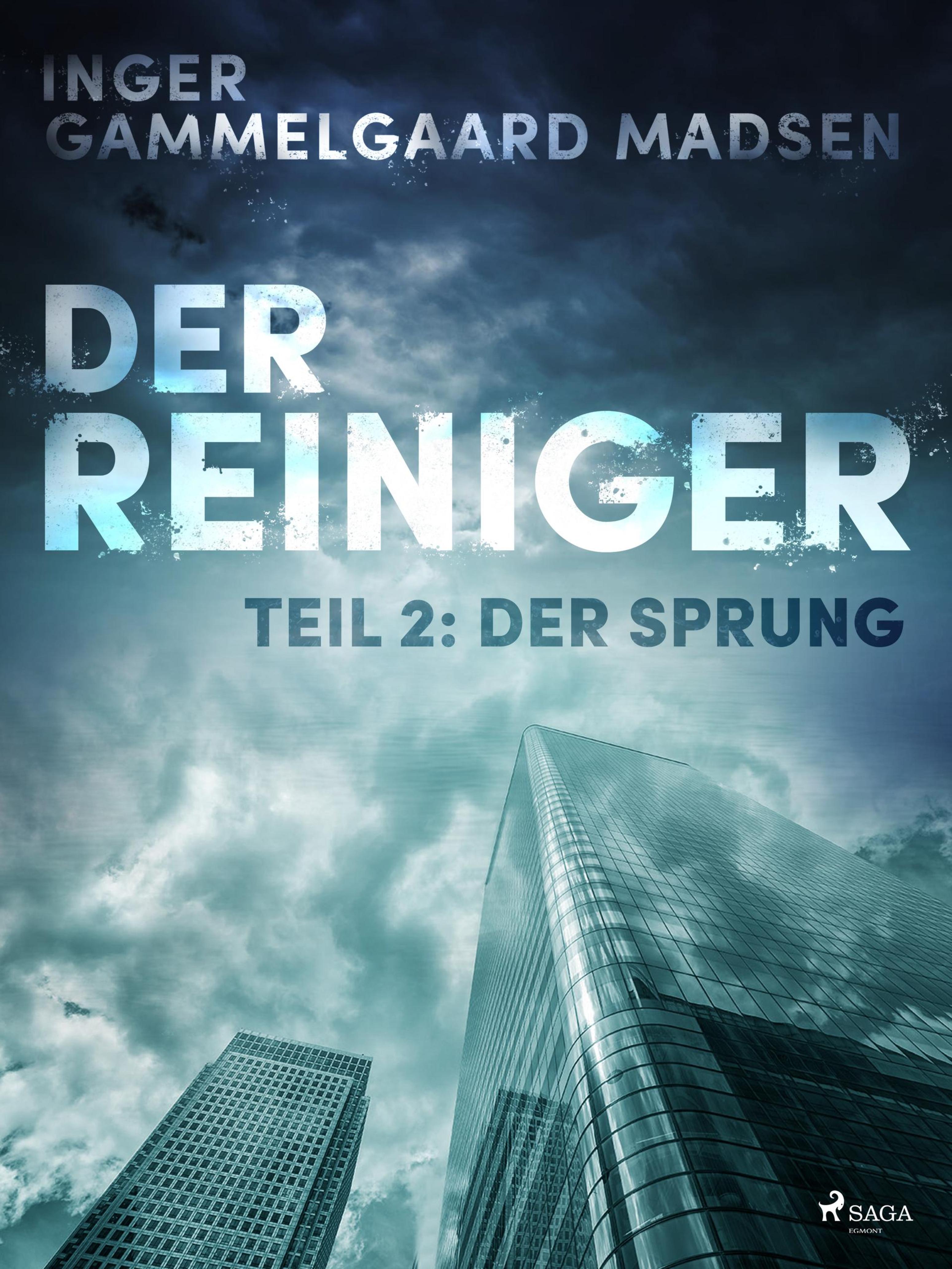 Обложка книги «Der Reiniger: Teil 2 - Der Sprung»