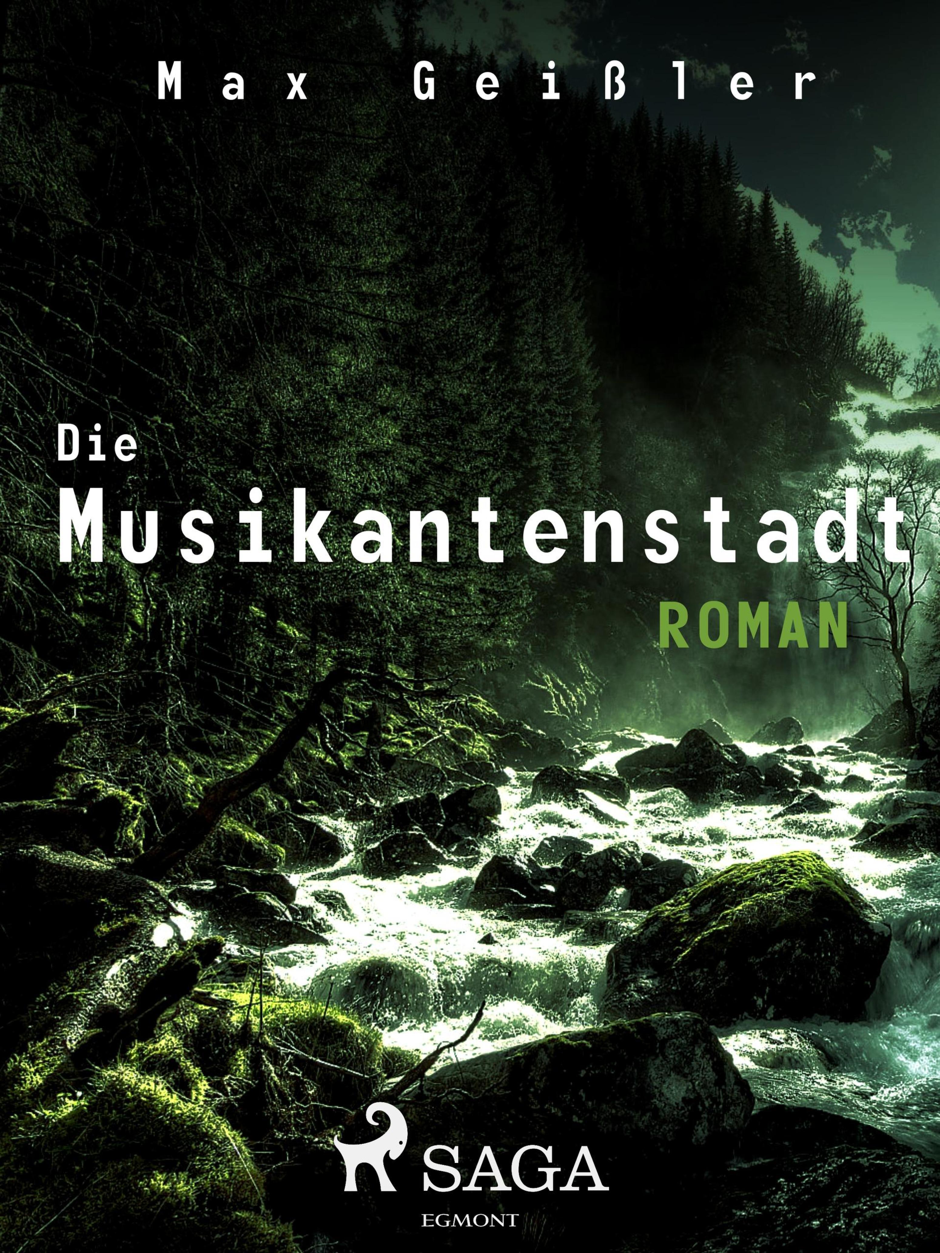 Обложка книги «Die Musikantenstadt»