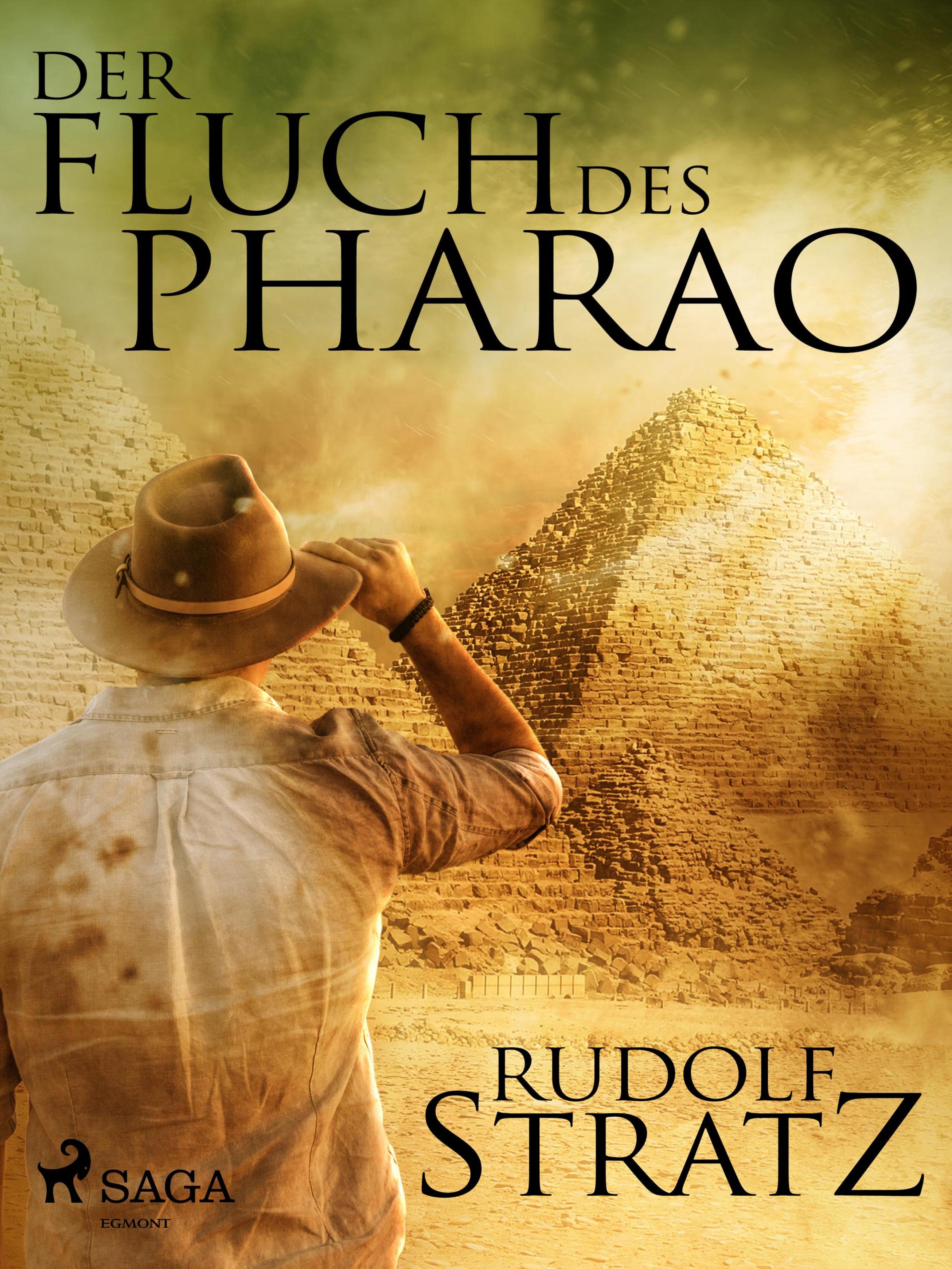 Обложка книги «Der Fluch des Pharao»