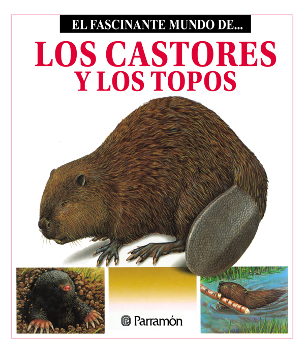 Обложка книги «Los Castores y los topos»