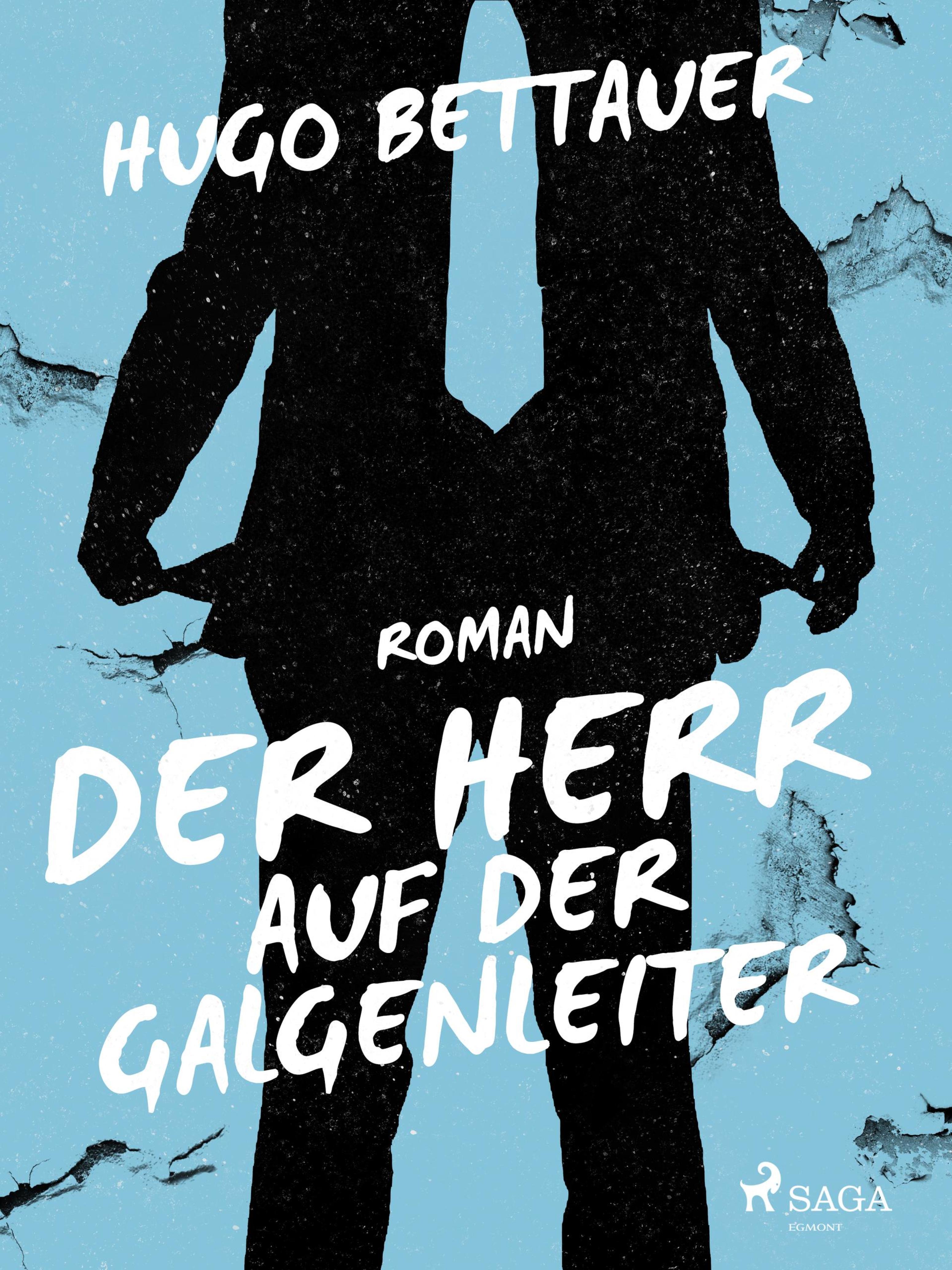 Обложка книги «Der Herr auf der Galgenleiter»
