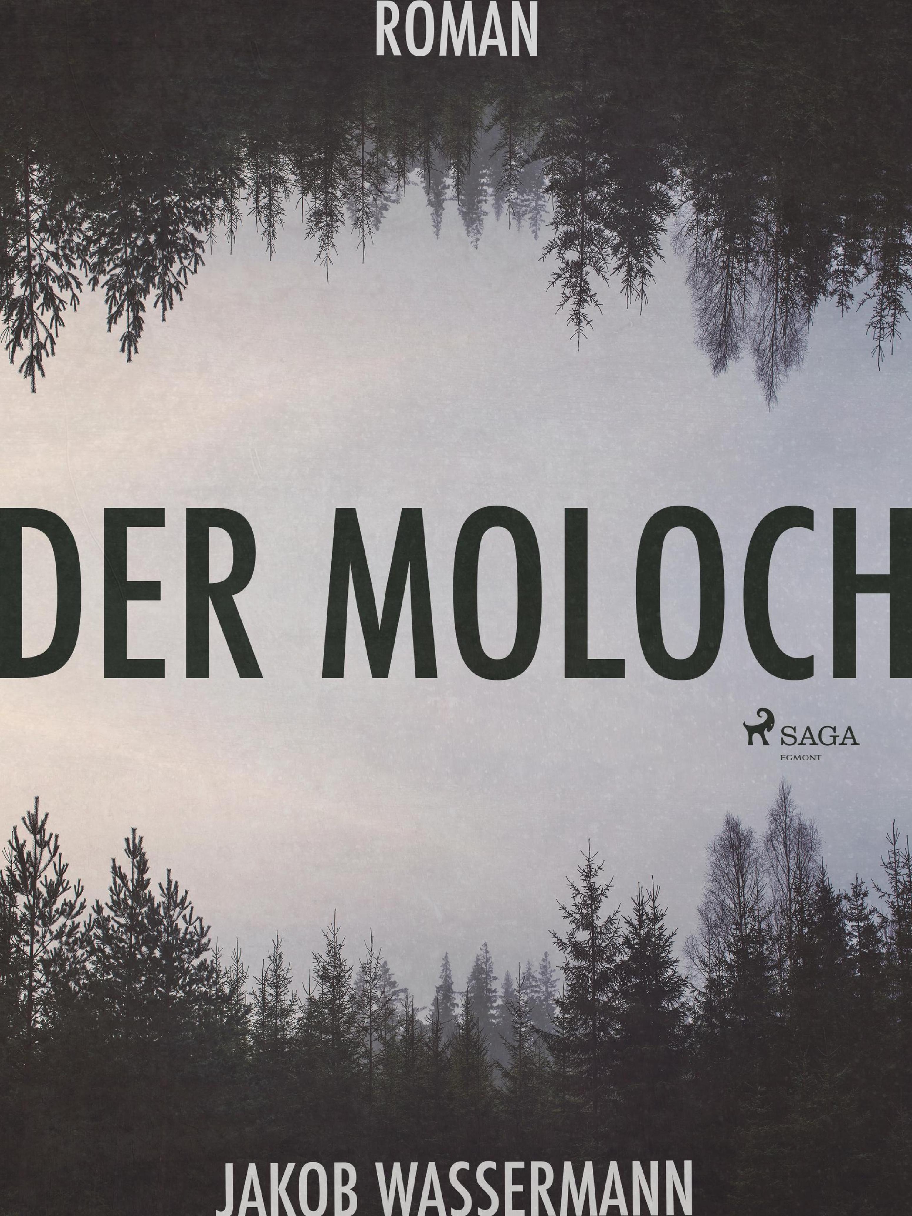Обложка книги «Der Moloch»