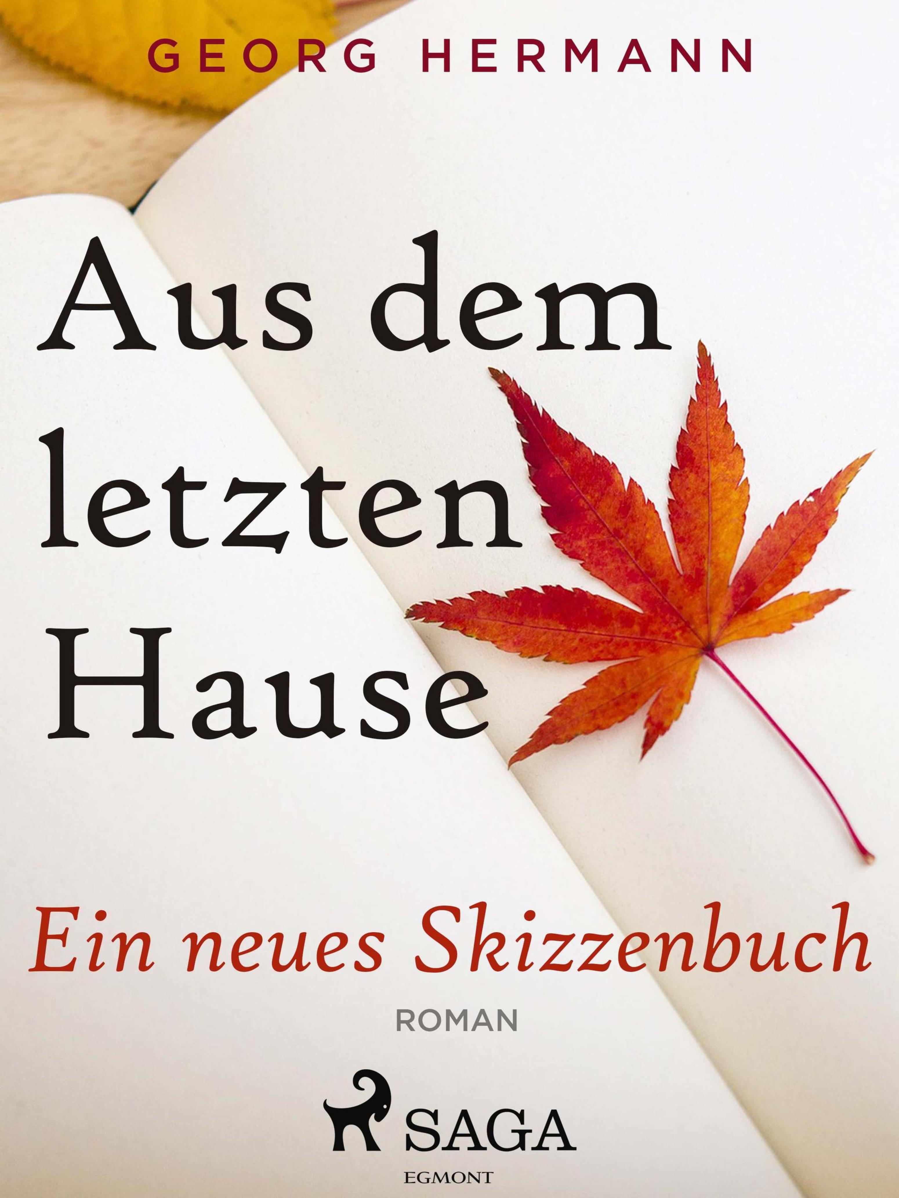 Обложка книги «Aus dem letzten Hause»