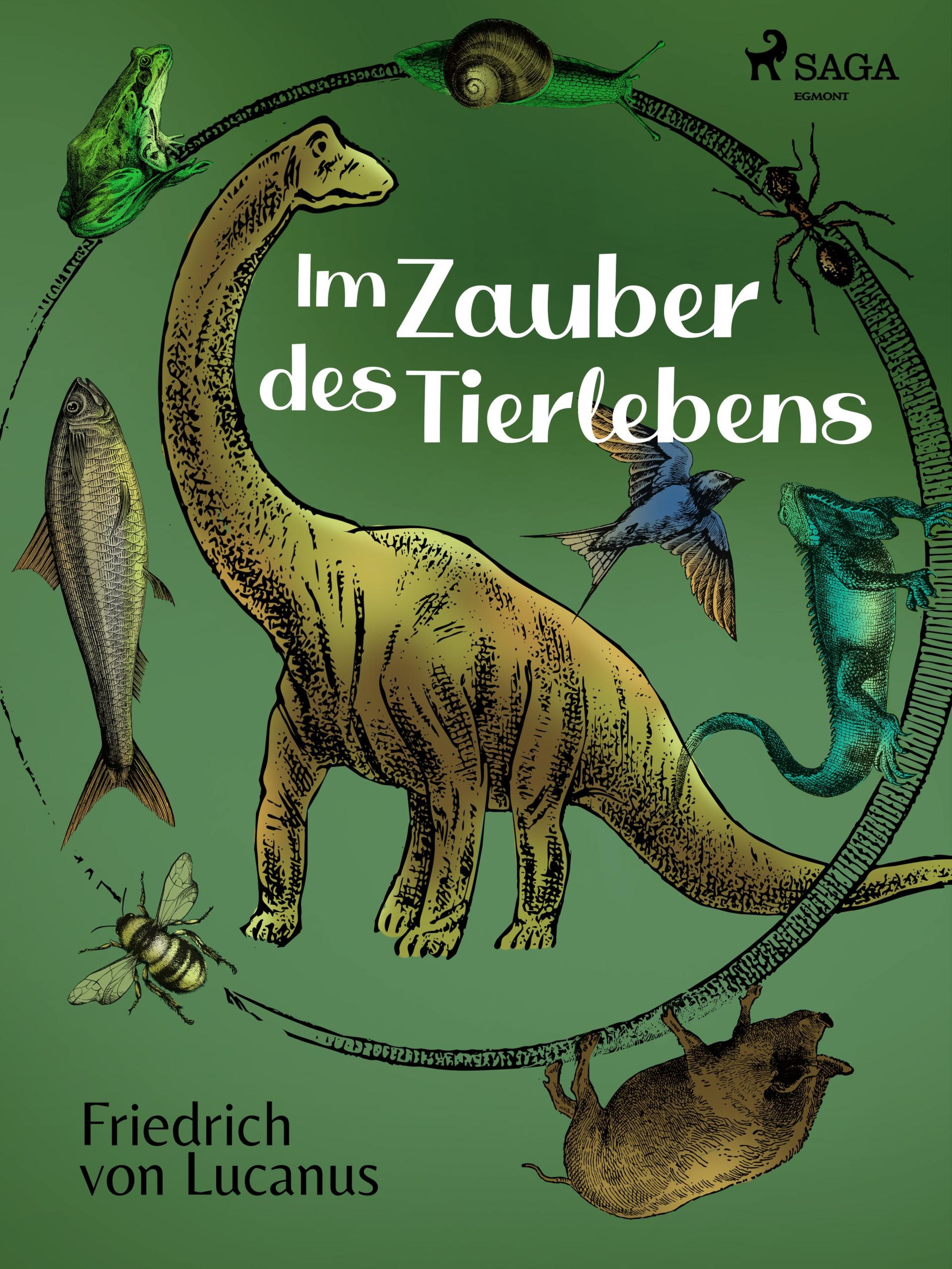 Обложка книги «Im Zauber des Tierlebens»