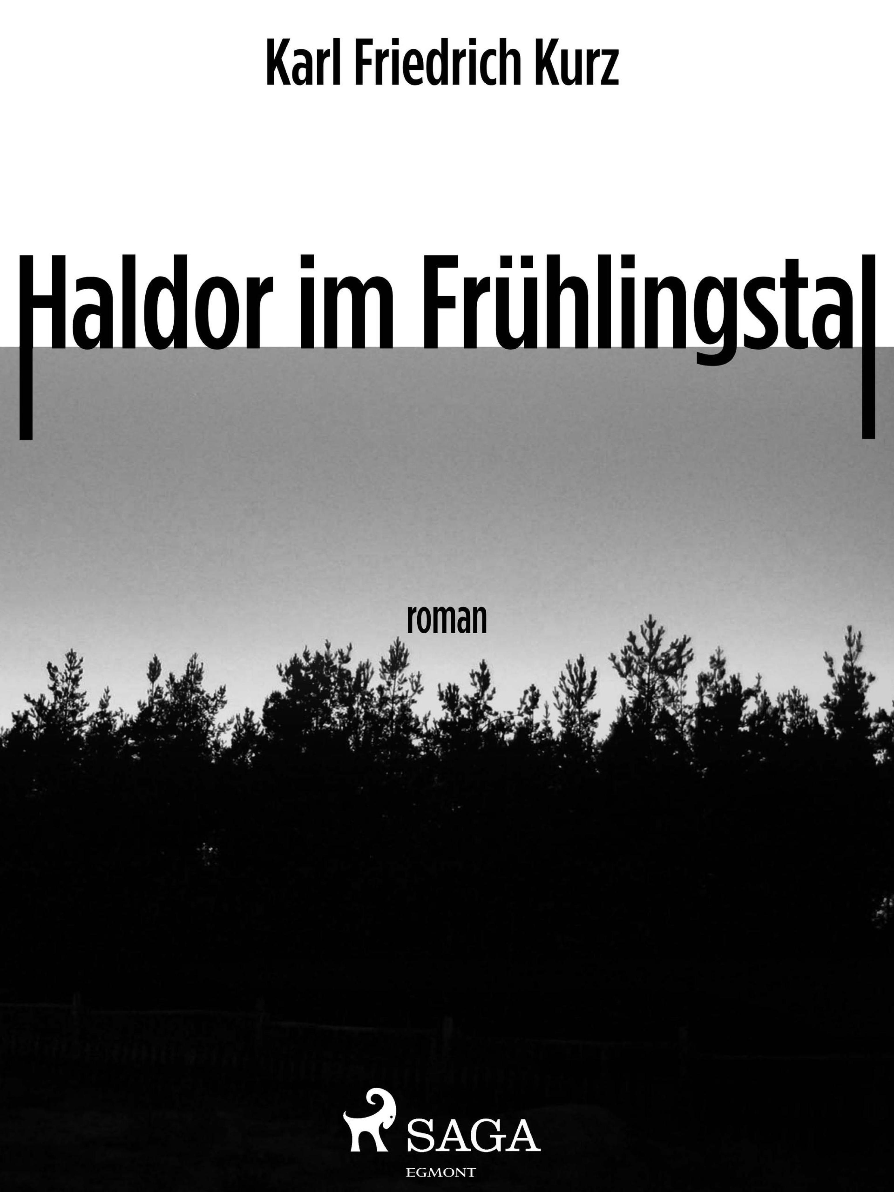 Обложка книги «Haldor im Frühlingstal»