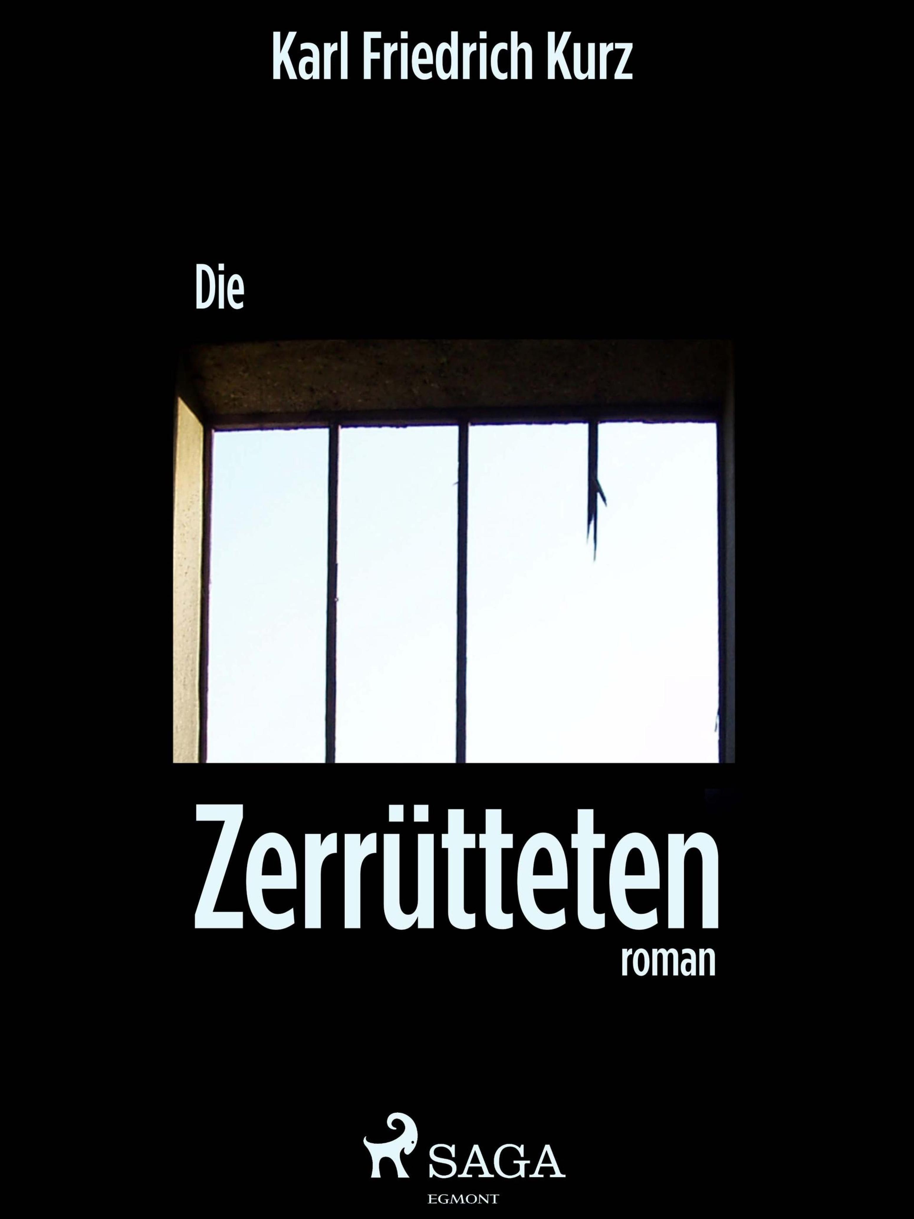 Обложка книги «Die Zerrütteten»