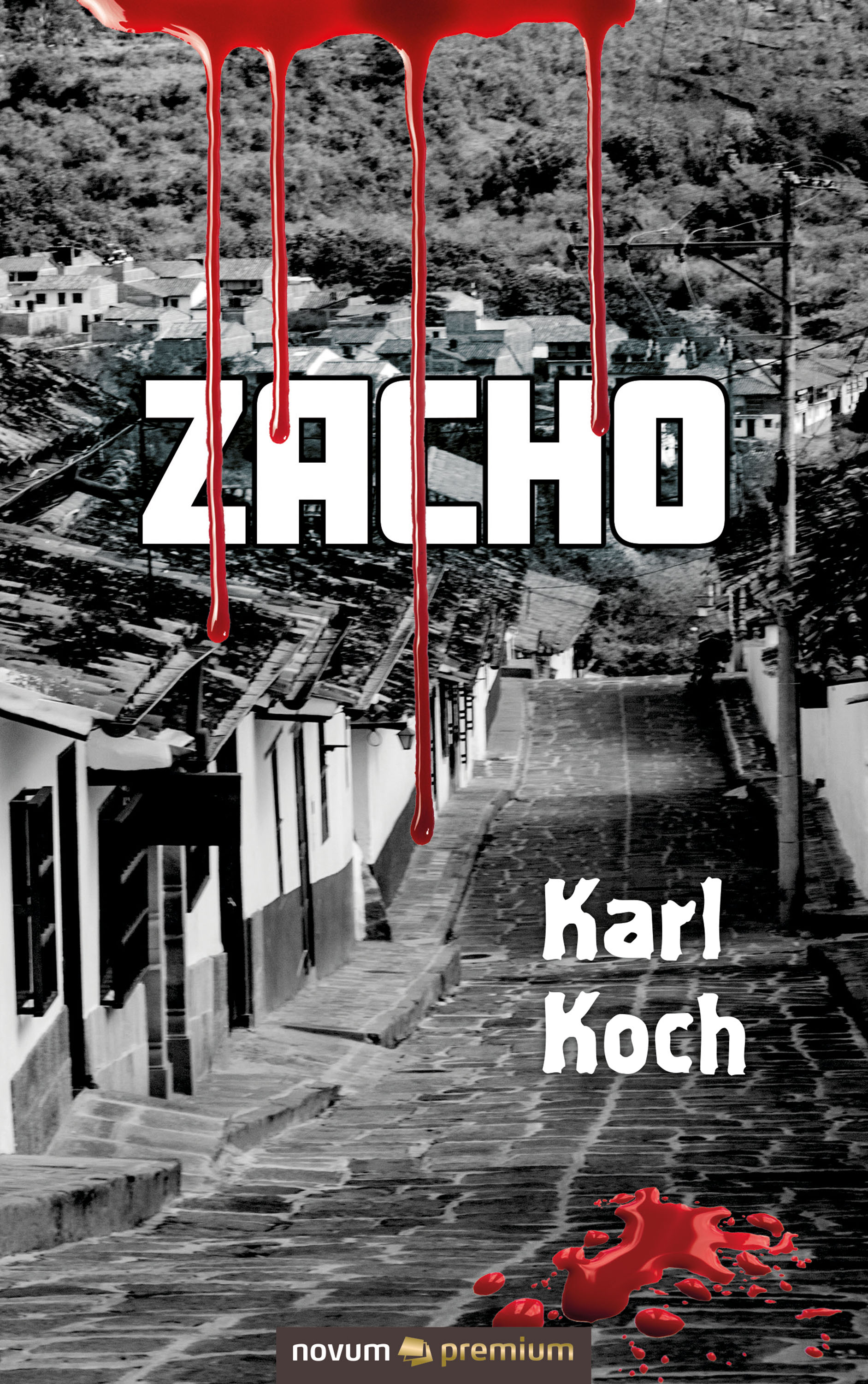 Обложка книги «Zacho»