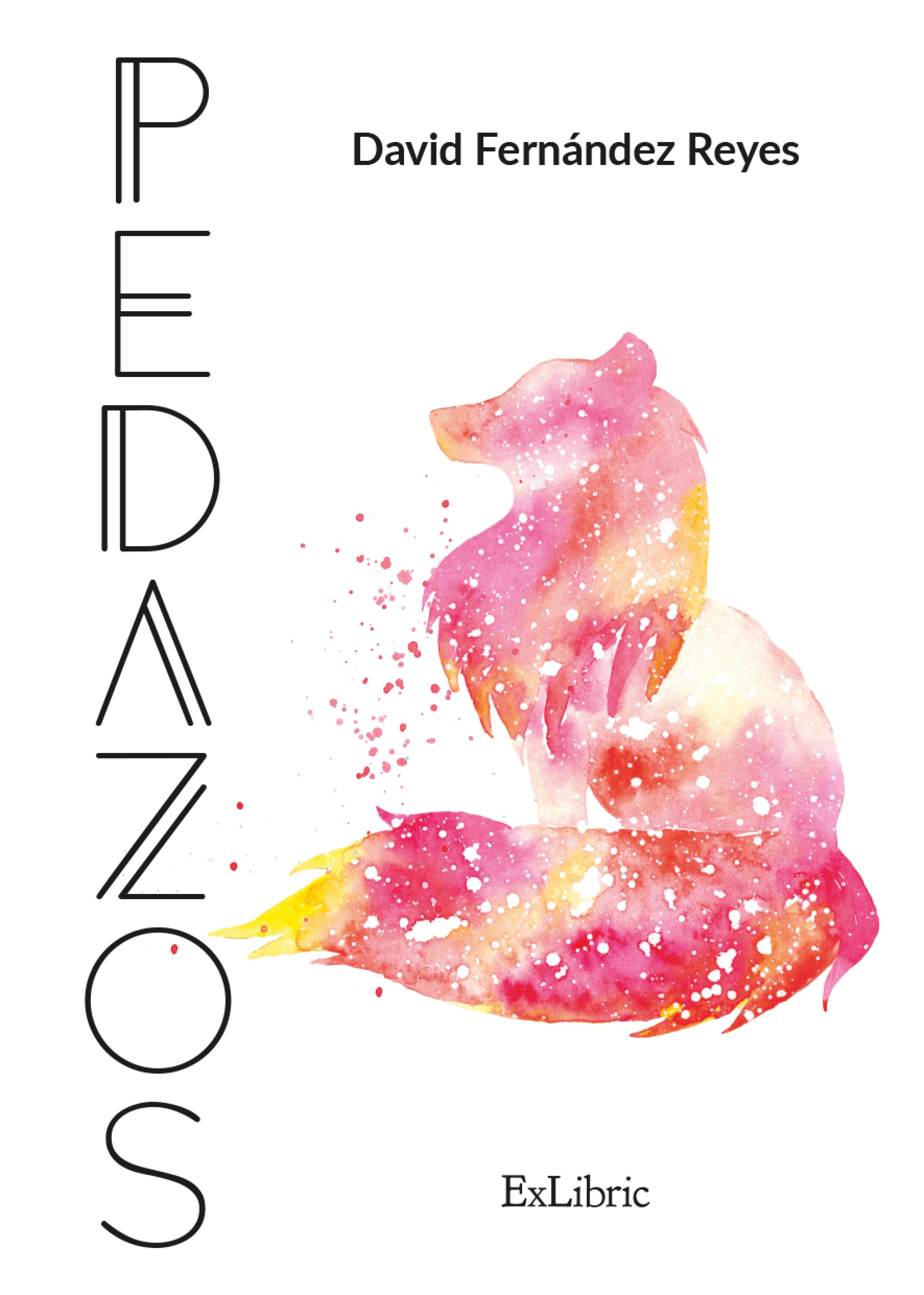 Обложка книги «Pedazos»