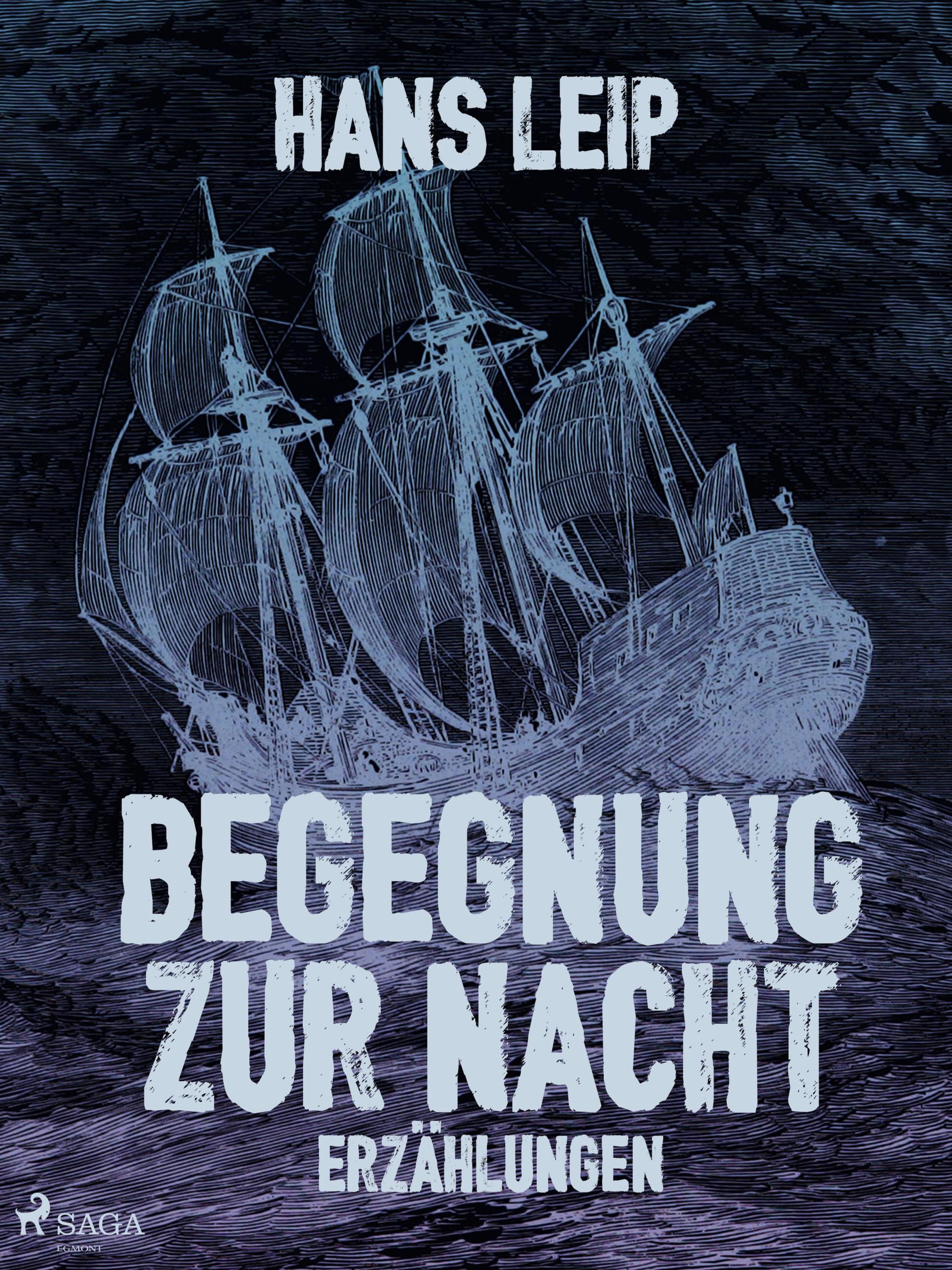 Обложка книги «Begegnung zur Nacht»