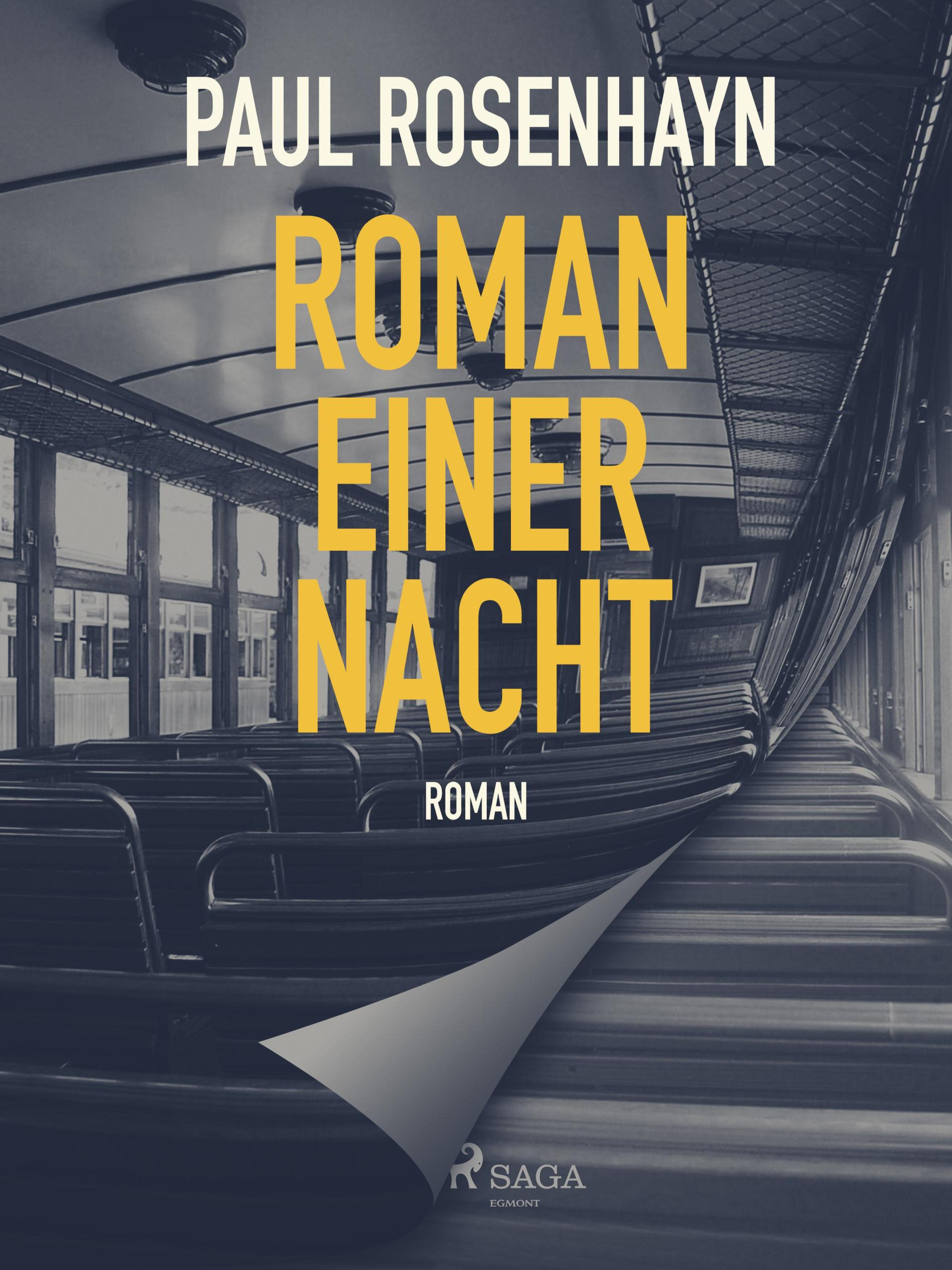 Обложка книги «Roman einer Nacht»