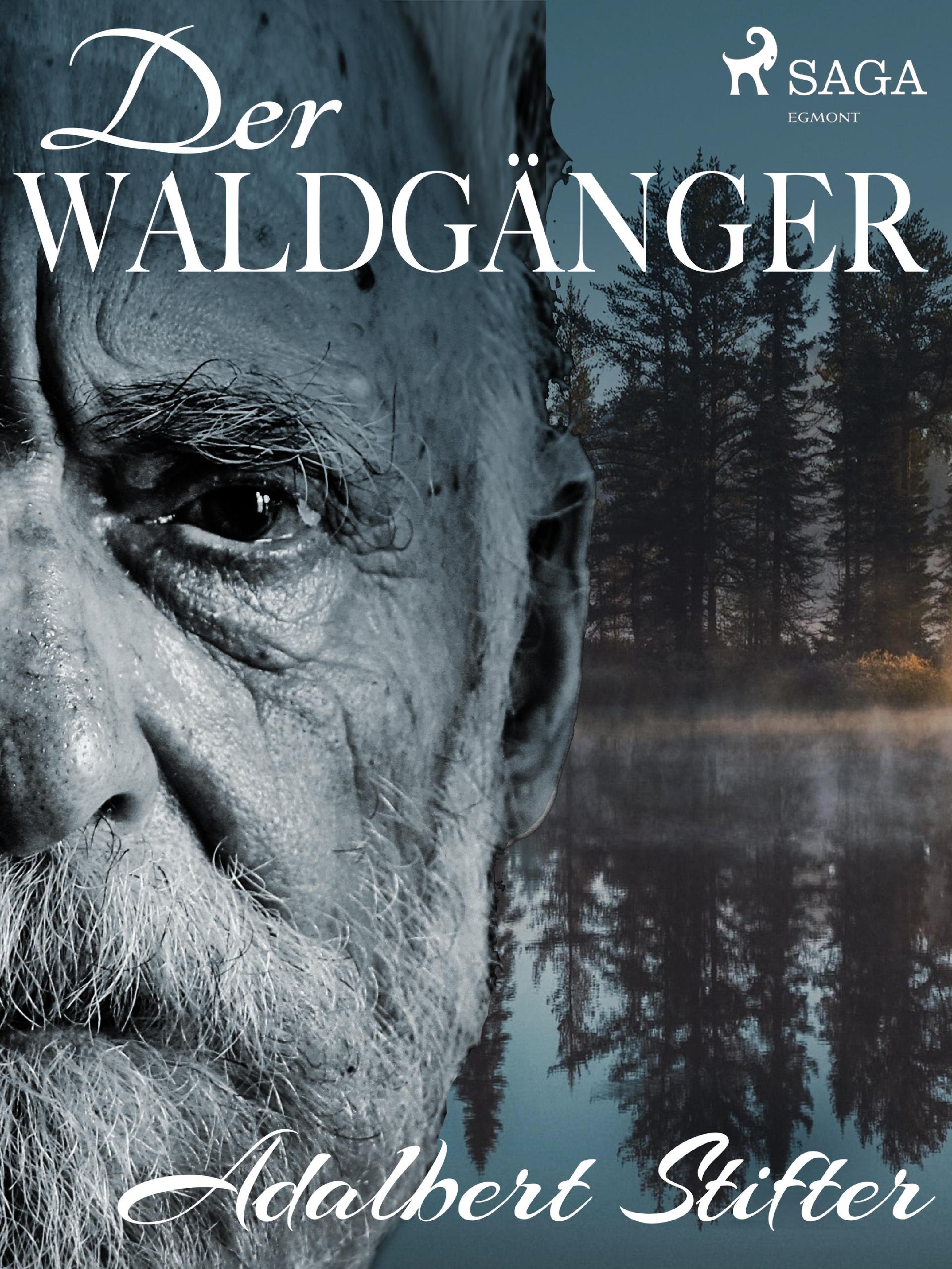 Обложка книги «Der Waldgänger»