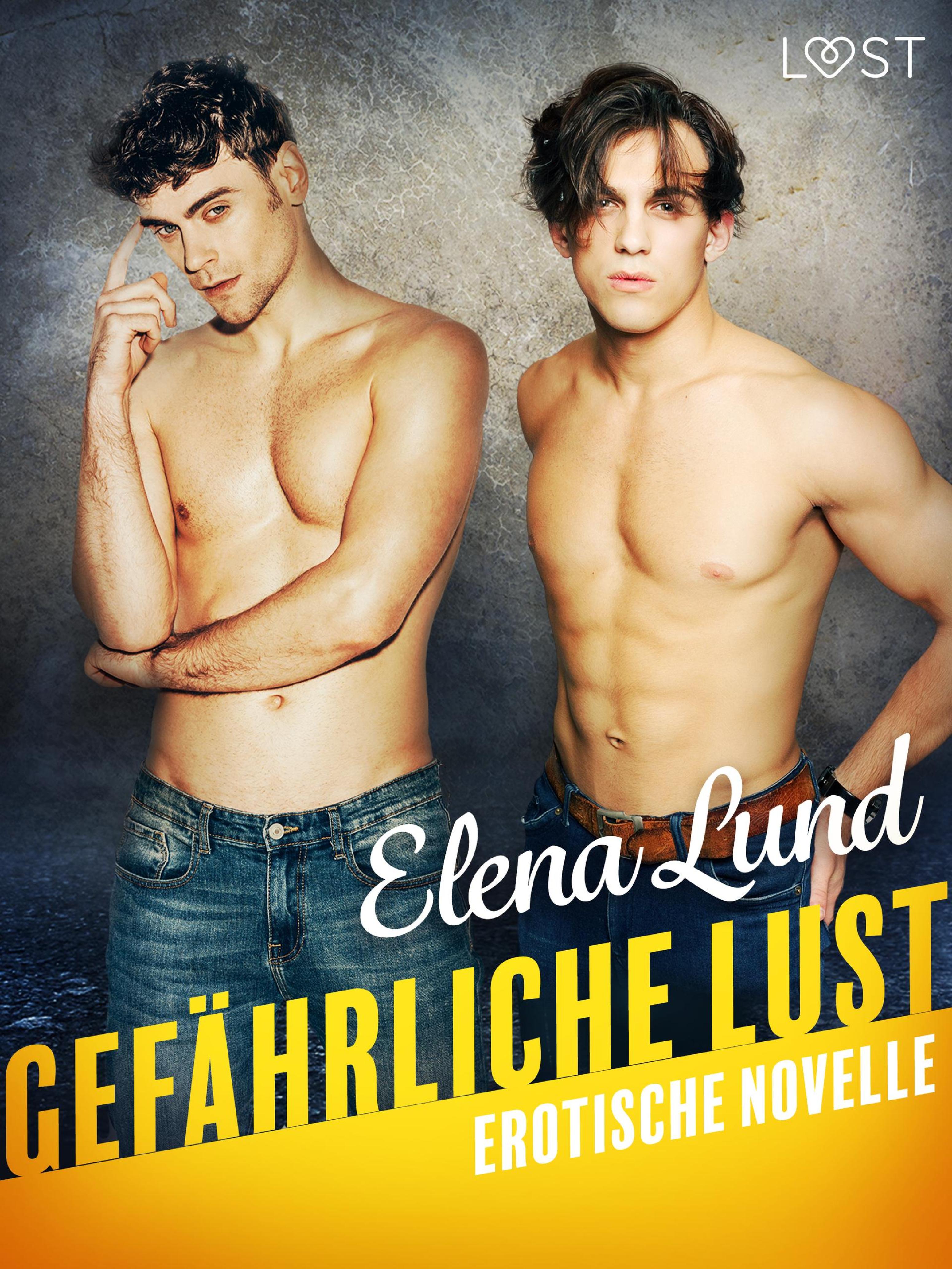 Обложка книги «Gefährliche Lust - Erotische Novelle»