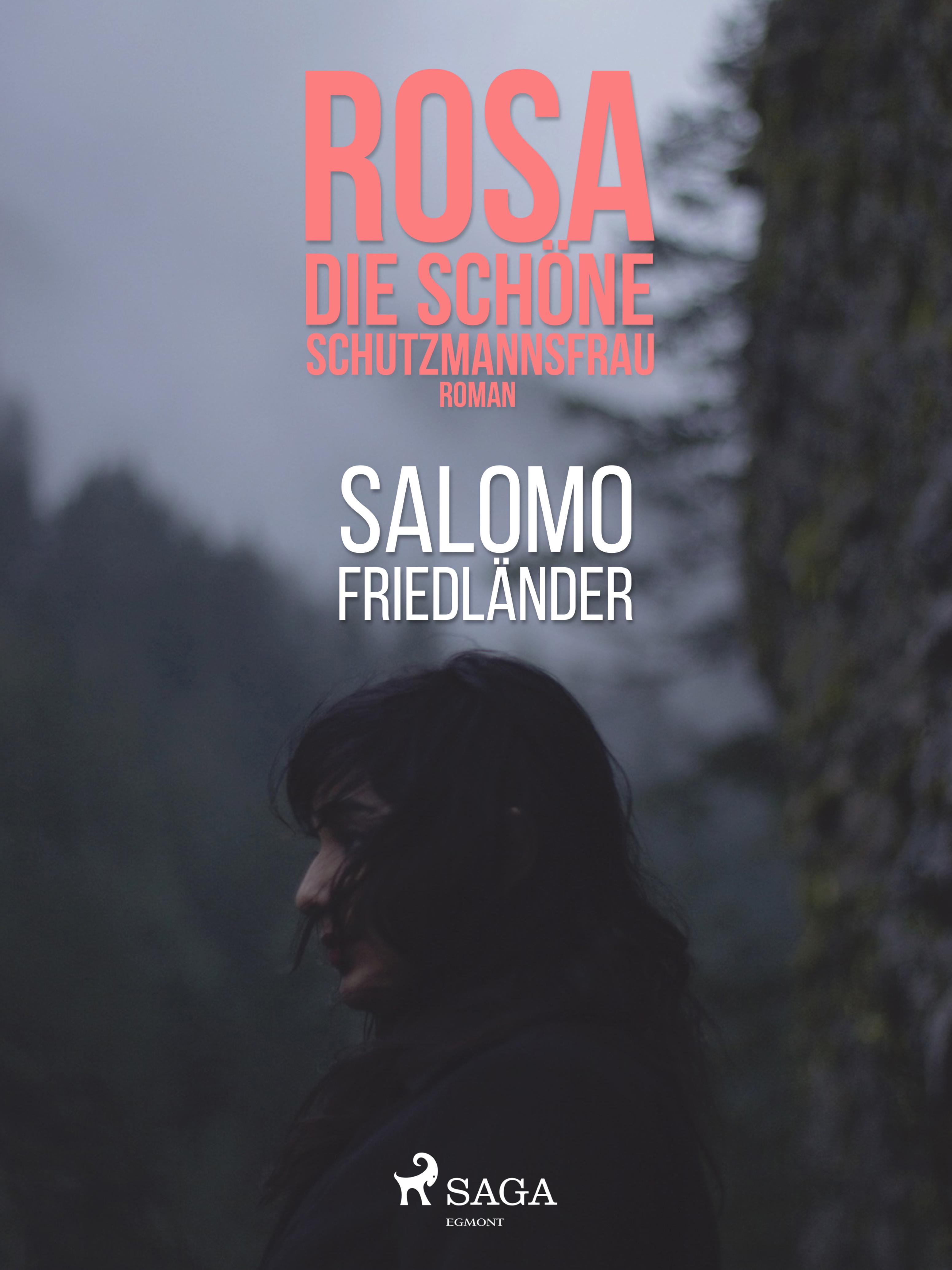 Обложка книги «Rosa, die schöne Schutzmannsfrau»