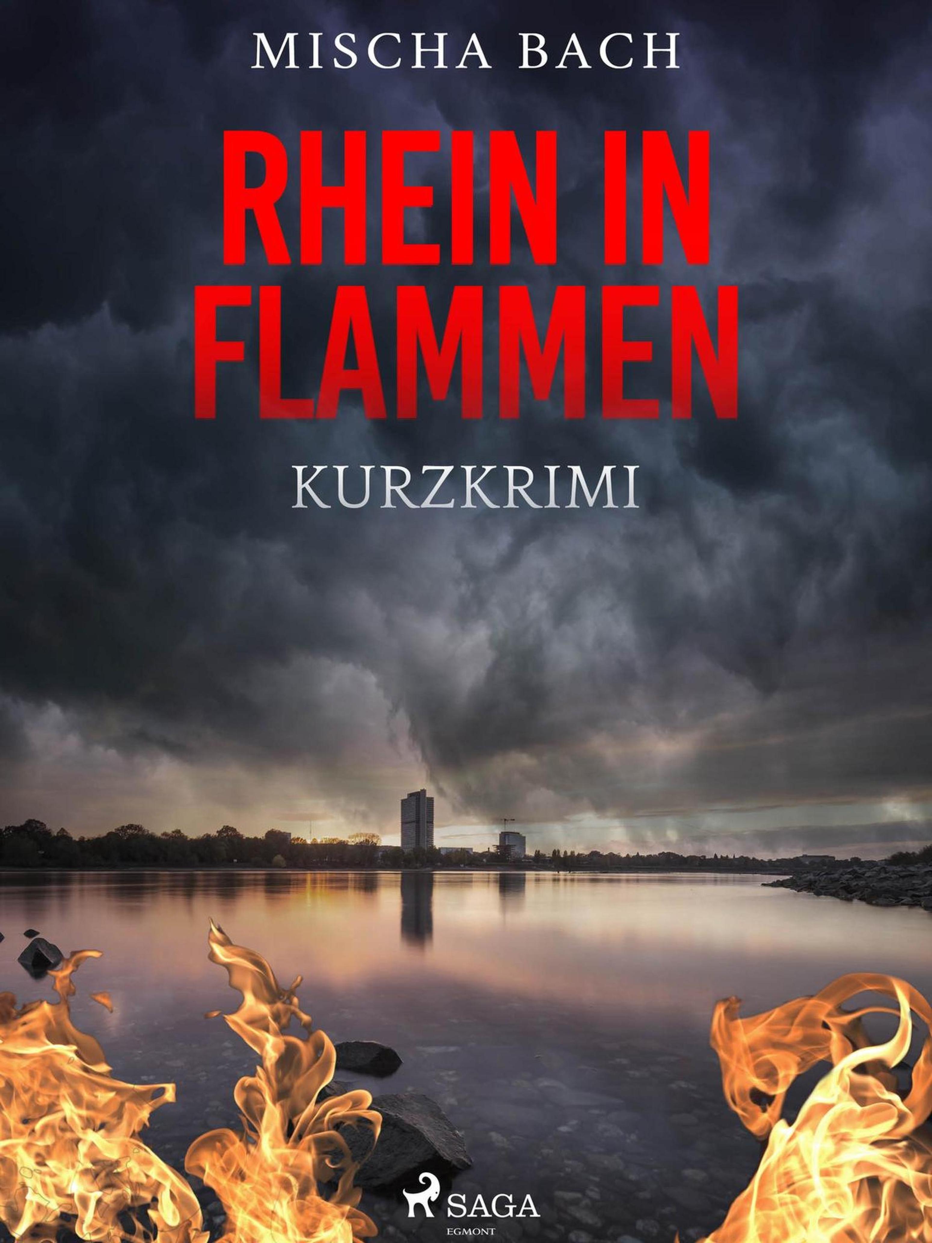 Обложка книги «Rhein in Flammen - Kurzkrimi»