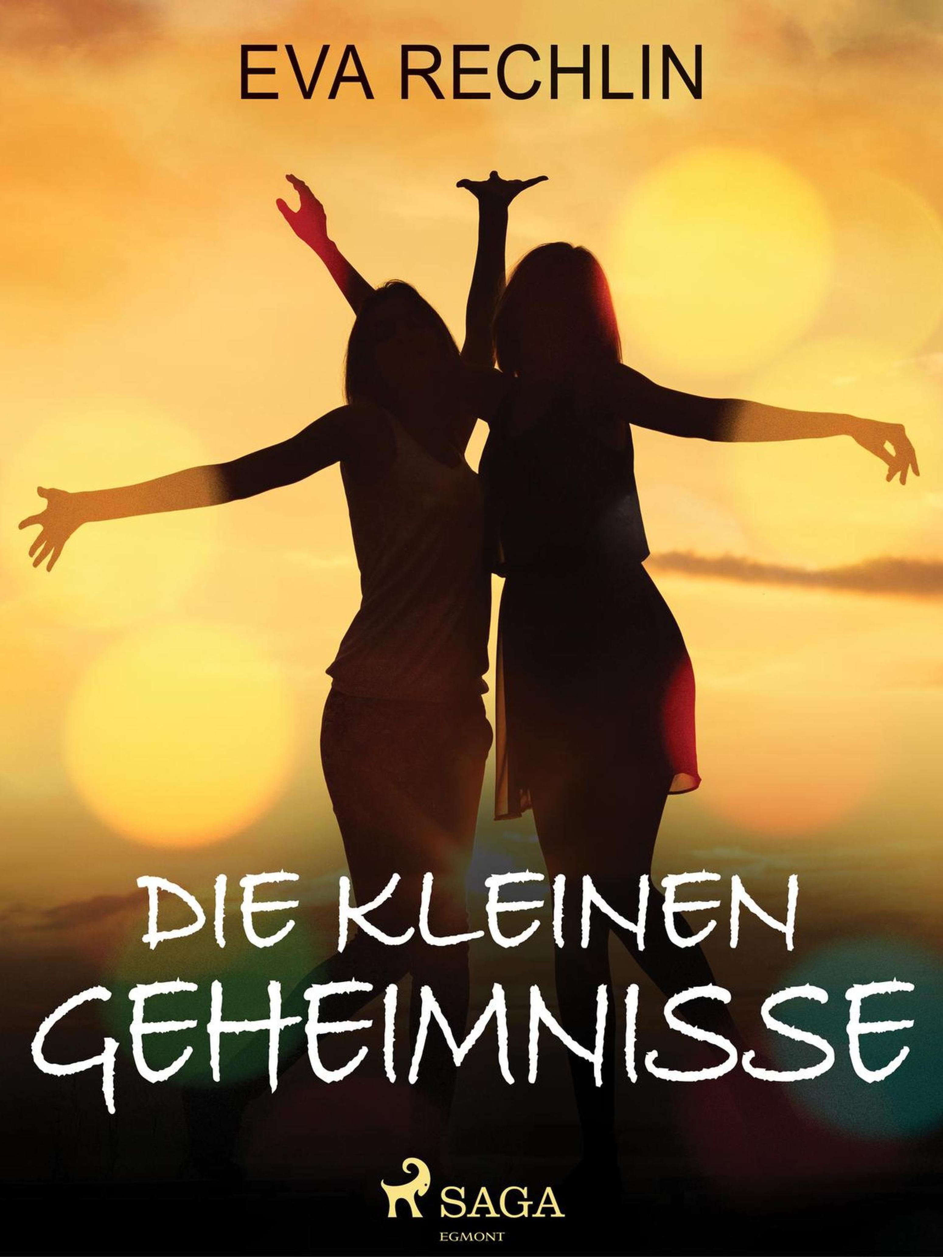 Обложка книги «Die kleinen Geheimnisse»