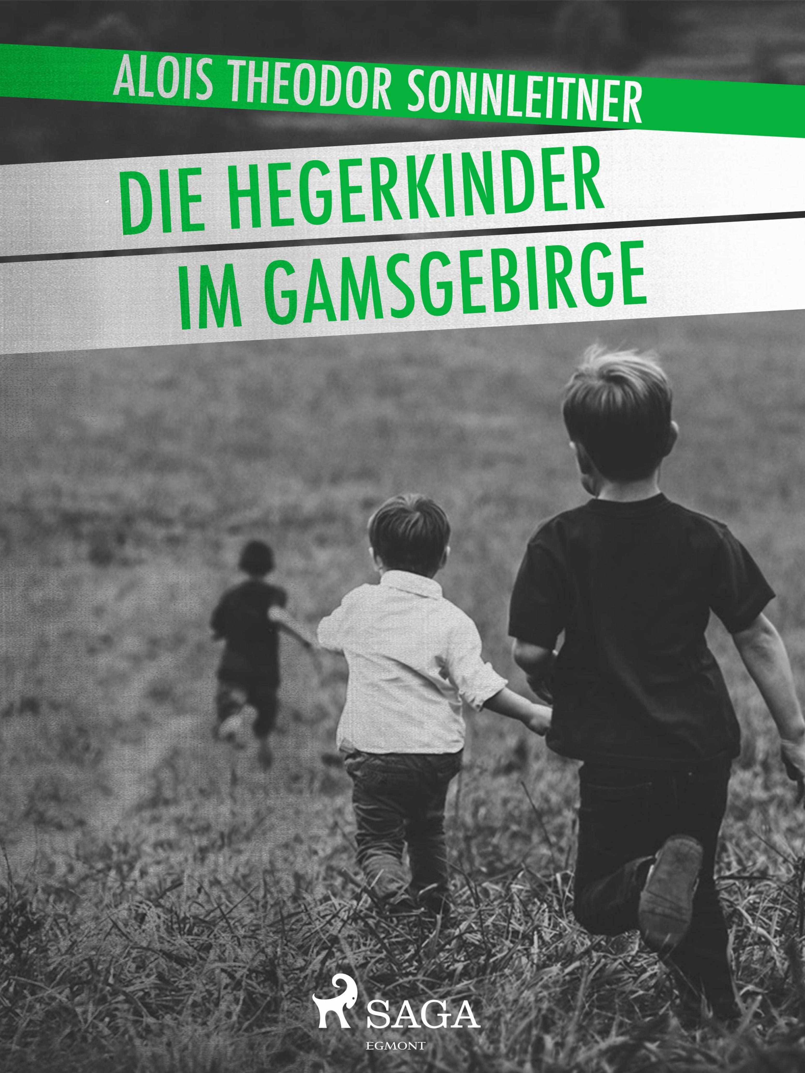 Обложка книги «Die Hegerkinder im Gamsgebirge»