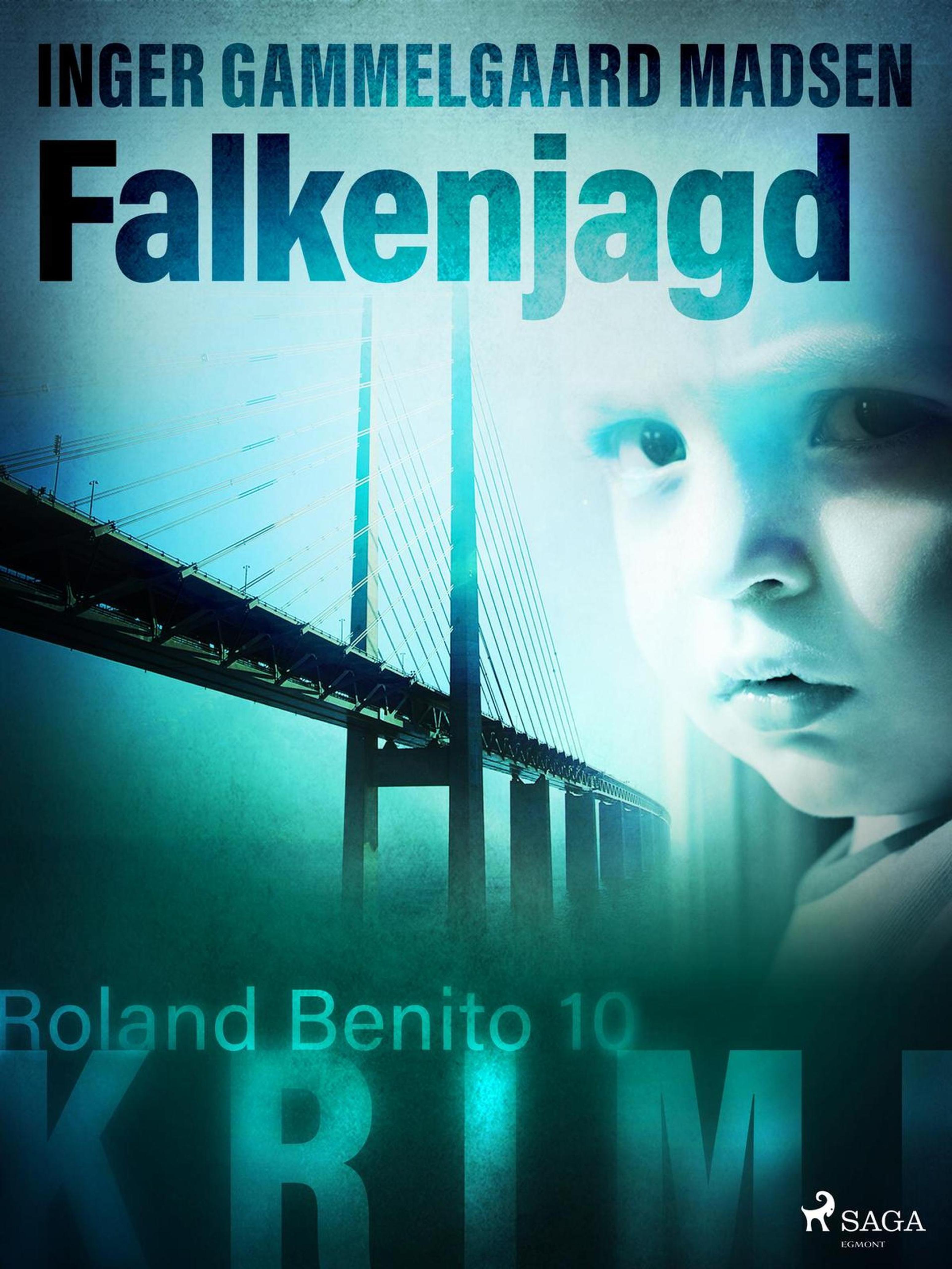 Обложка книги «Falkenjagd - Roland Benito-Krimi 10»