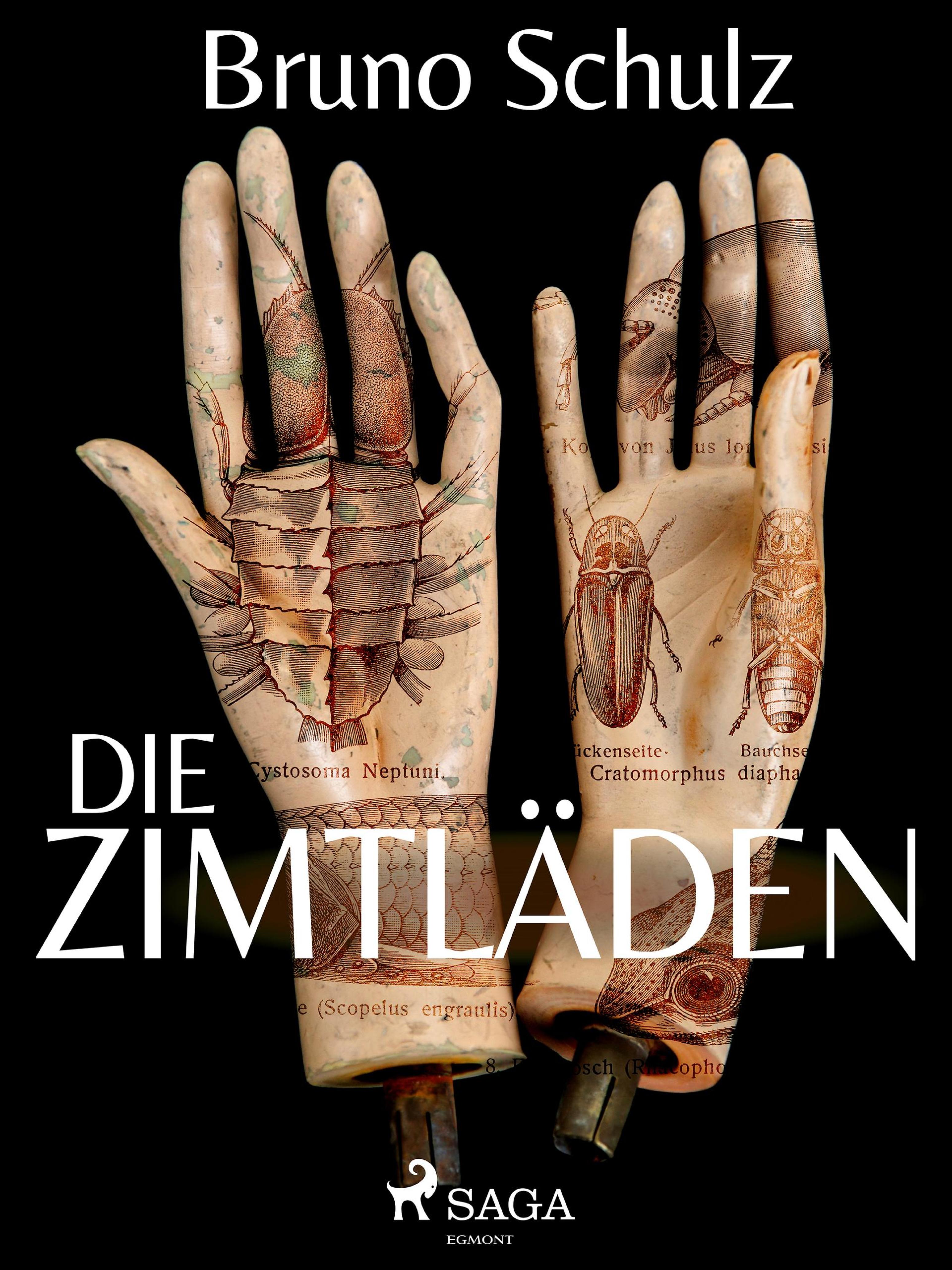 Обложка книги «Die Zimtläden»