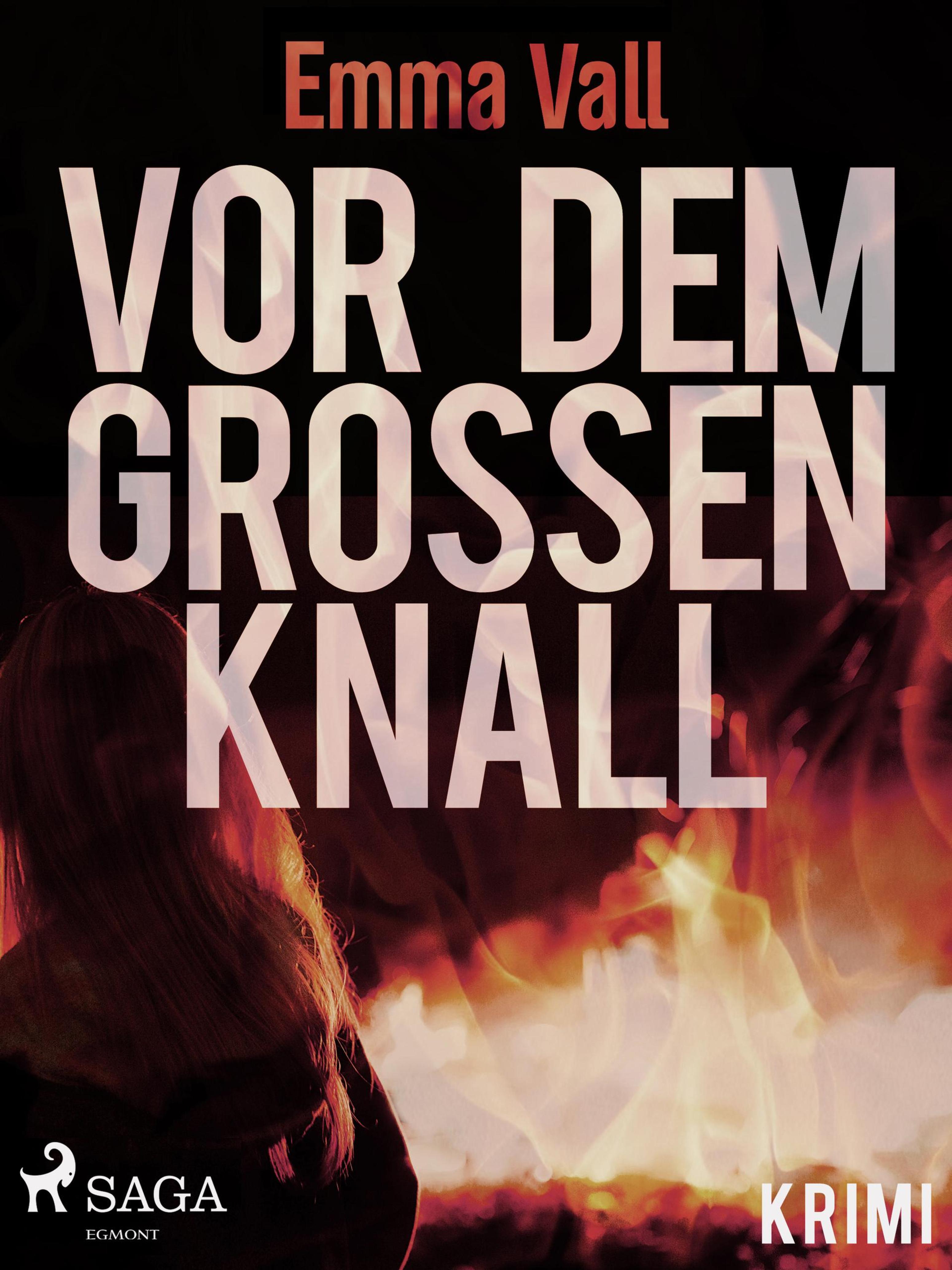 Обложка книги «Vor dem großen Knall»