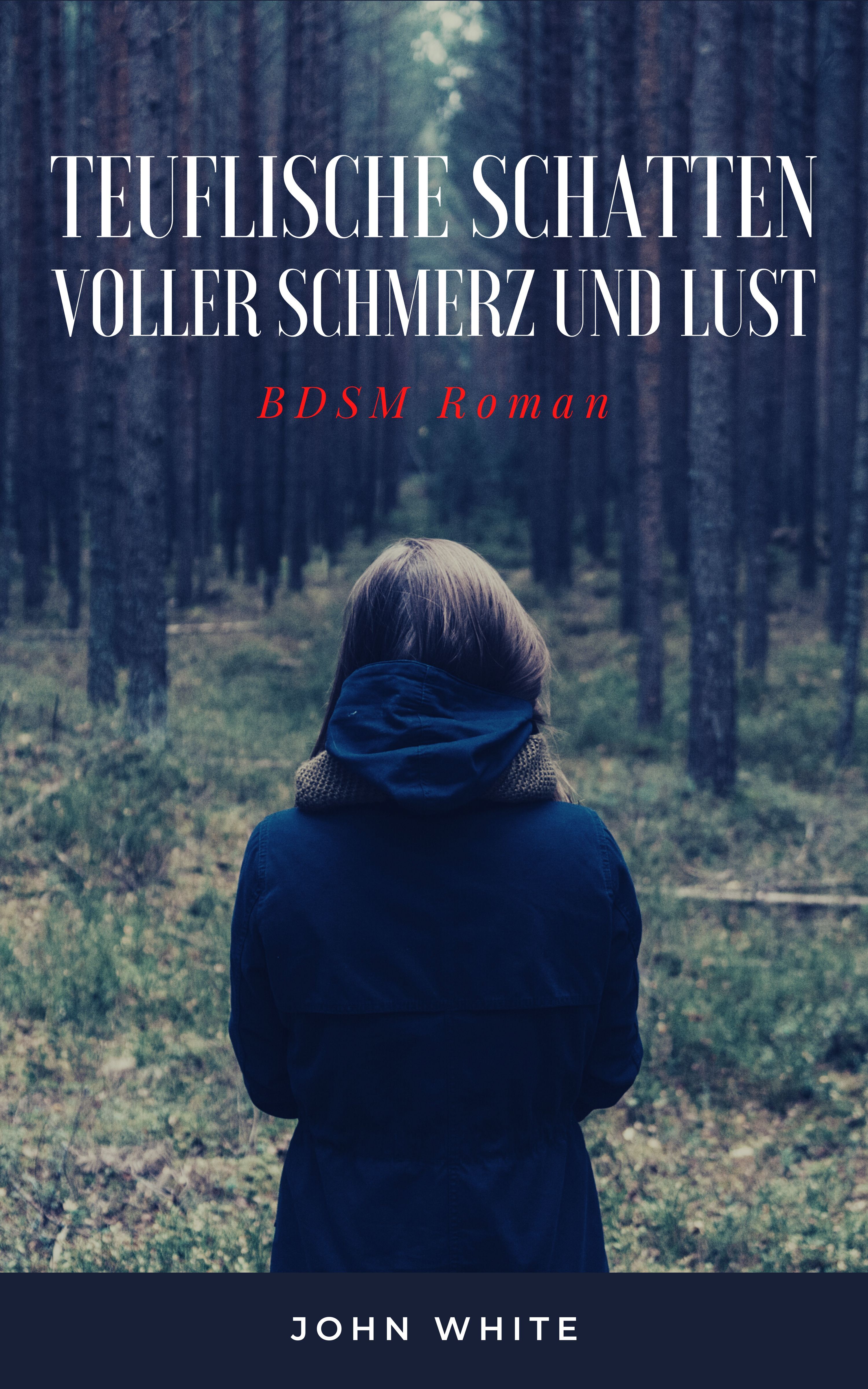 Обложка книги «Teuflische Schatten voller Schmerz und Lust»