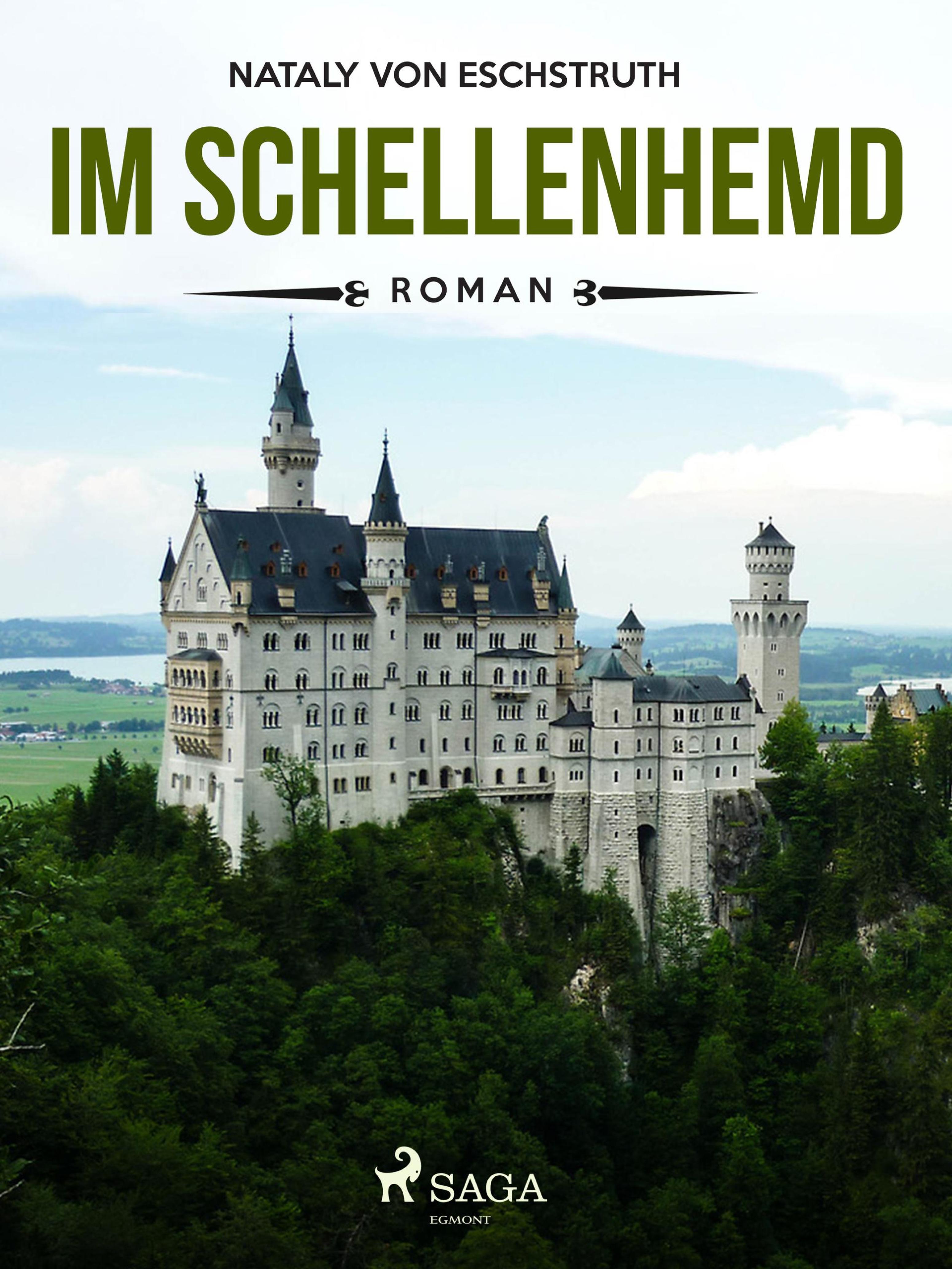 Обложка книги «Im Schellenhemd»